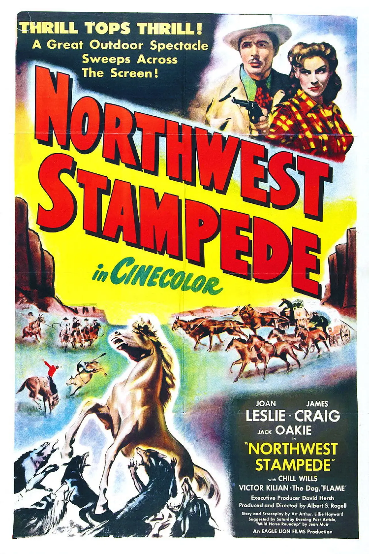 Movie poster "Northwest Stampede"