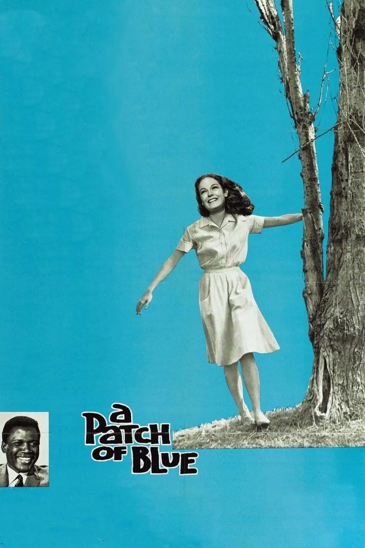 Movie poster "A Patch of Blue"