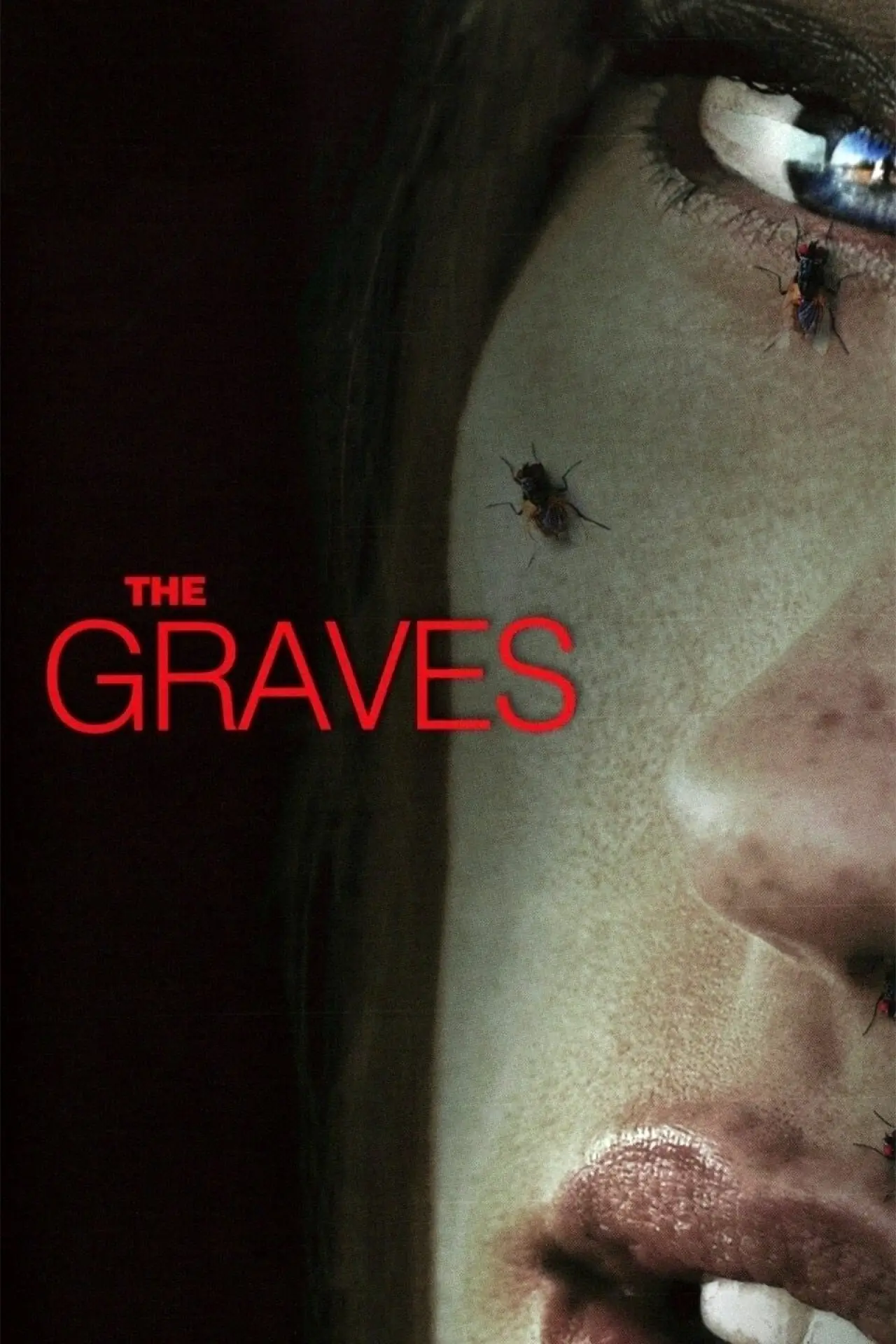 Movie poster "The Graves"