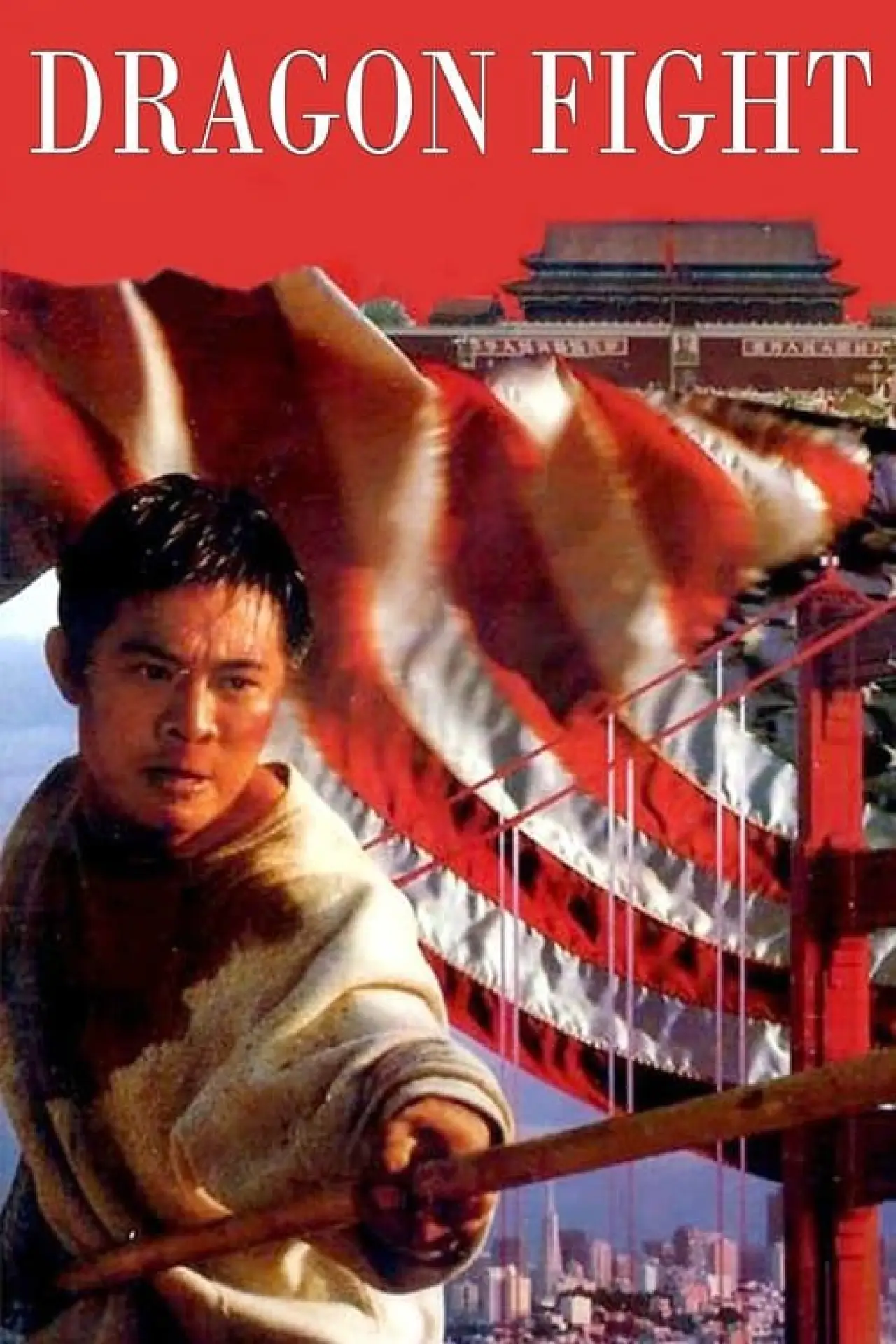 Movie poster "Dragon Fight"