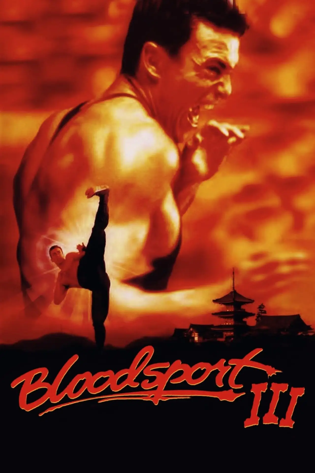 Movie poster "Bloodsport III"