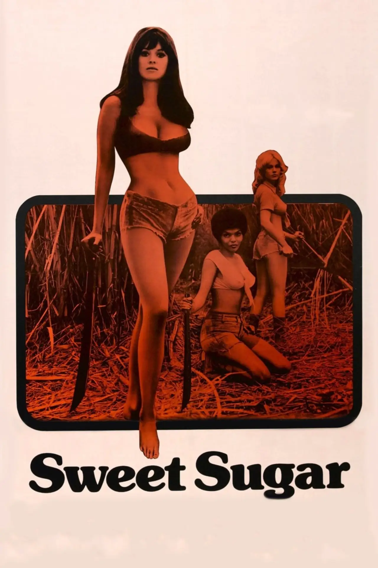 Movie poster "Sweet Sugar"
