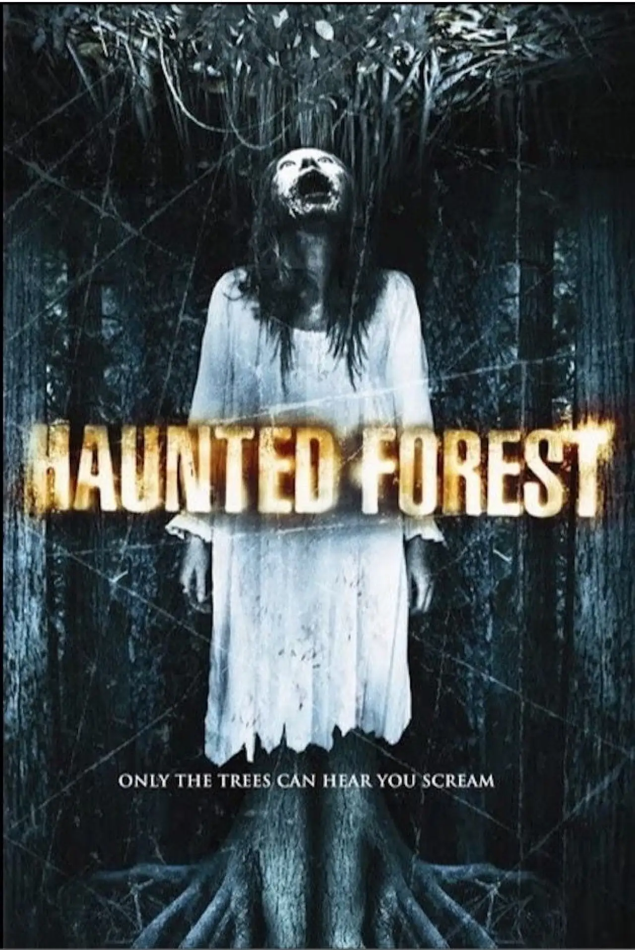 Movie poster "Haunted Forest"