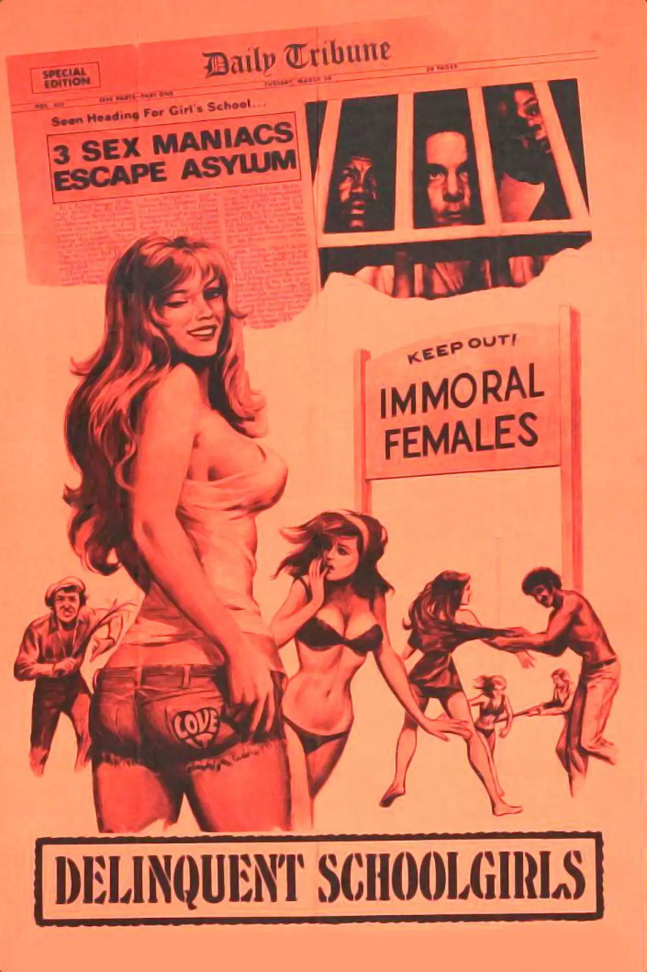 Movie poster "Delinquent Schoolgirls"