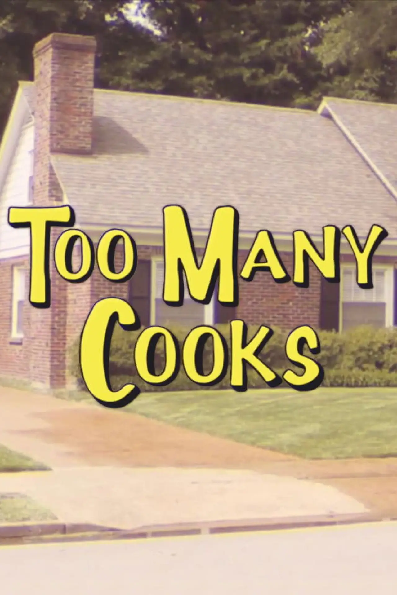 Movie poster "Too Many Cooks"