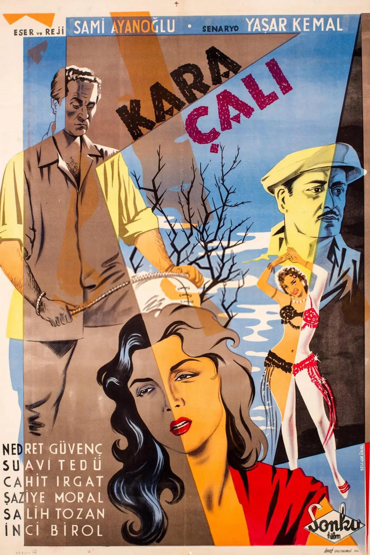Movie poster "Kara Çalı"