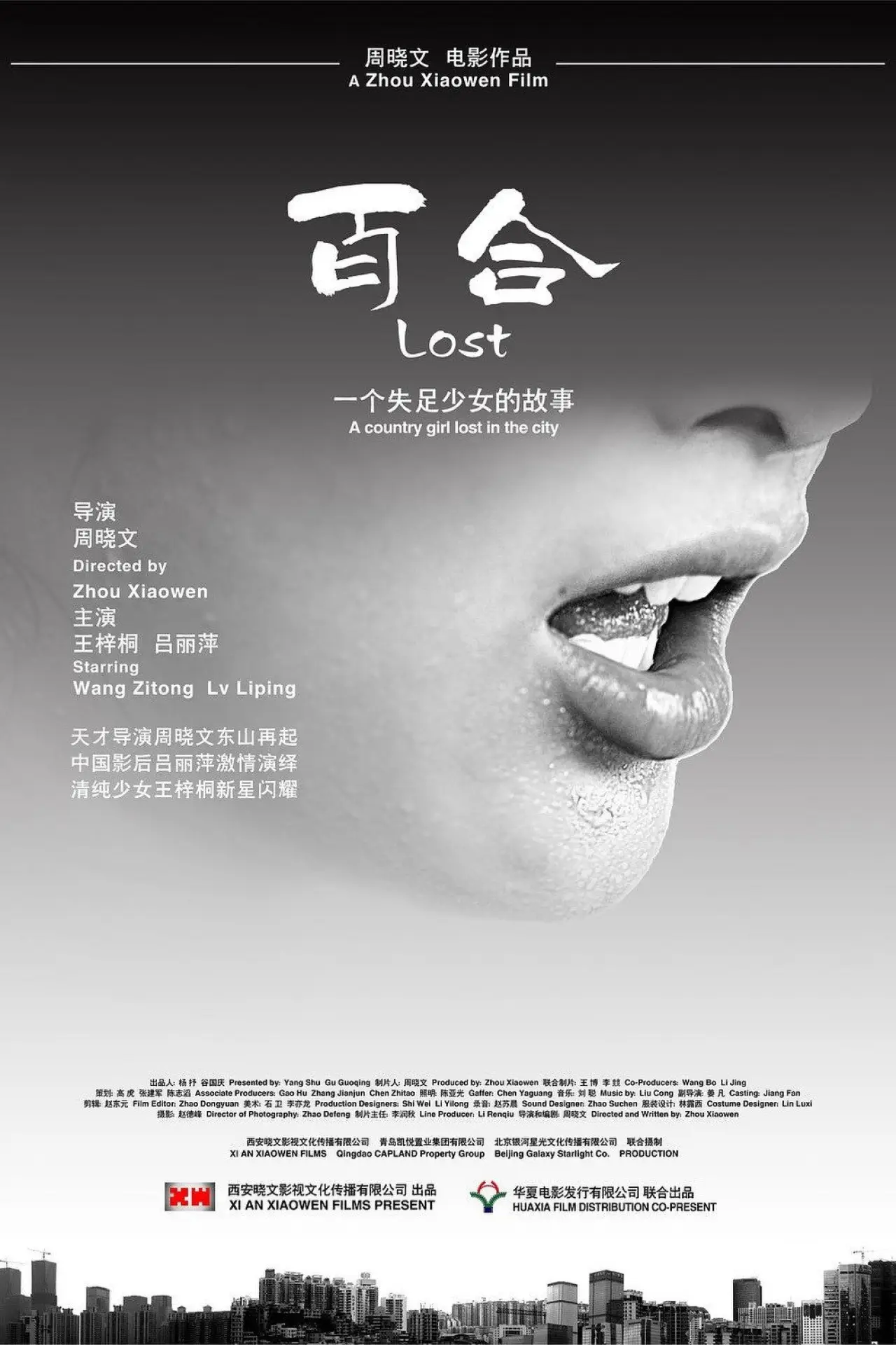 Movie poster "Lost"