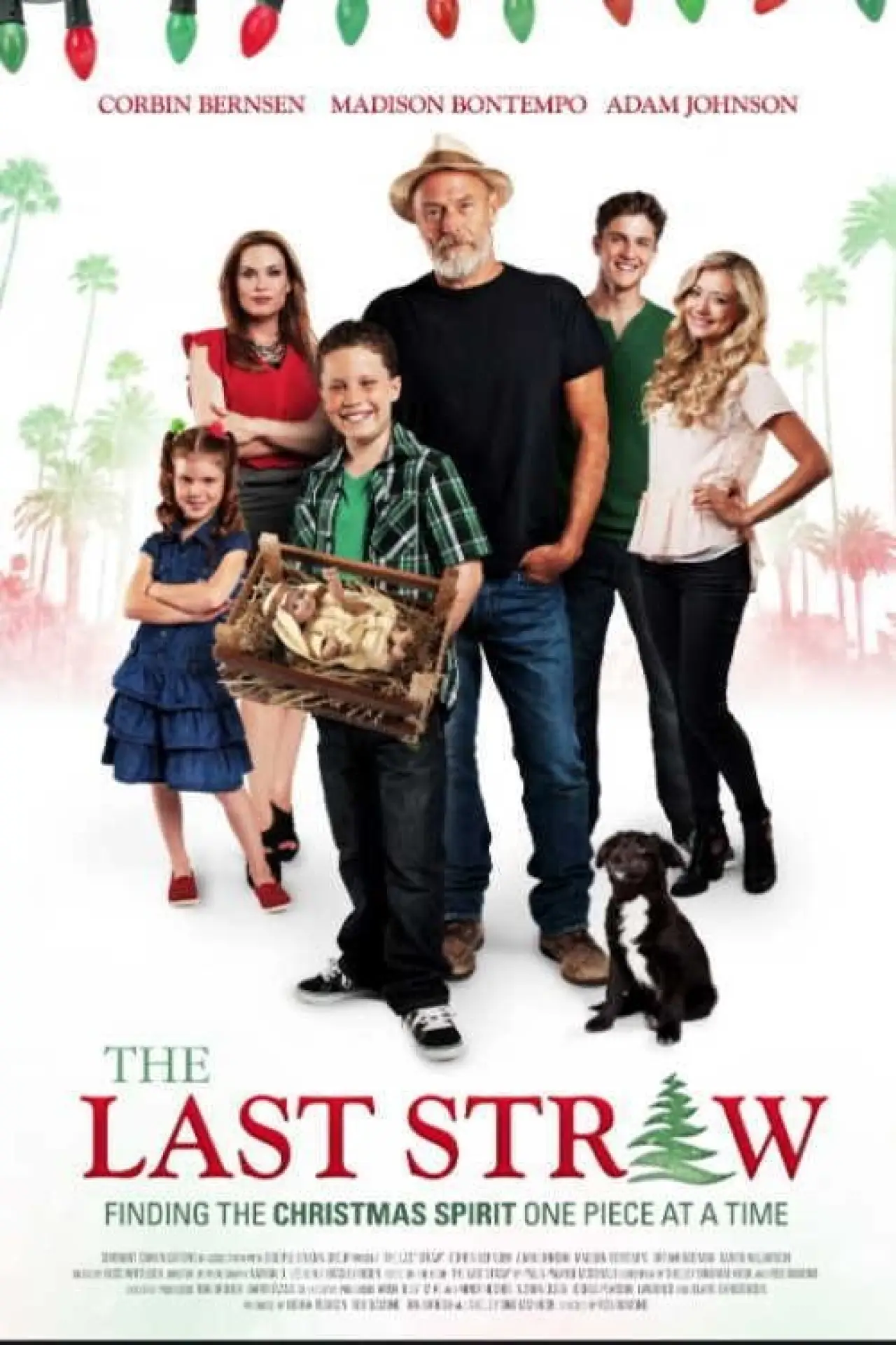 Movie poster "The Last Straw"