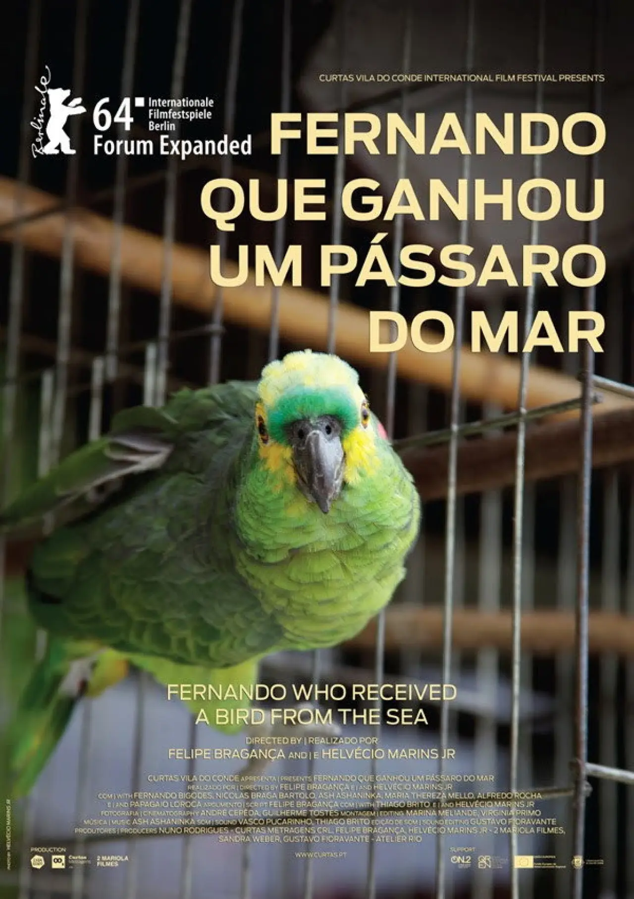 Movie poster "Fernando Who Received a Bird from the Sea"