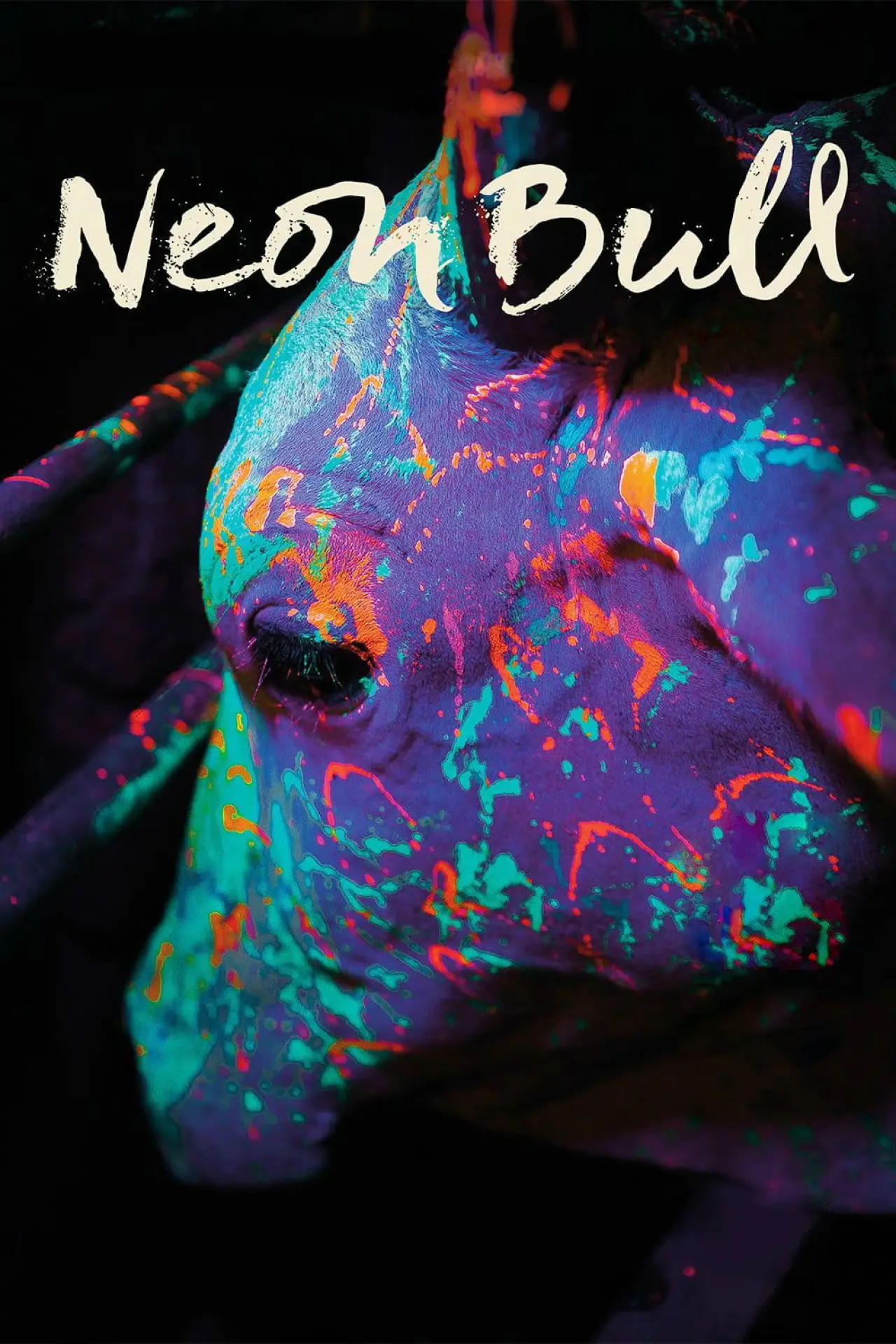 Movie poster "Neon Bull"