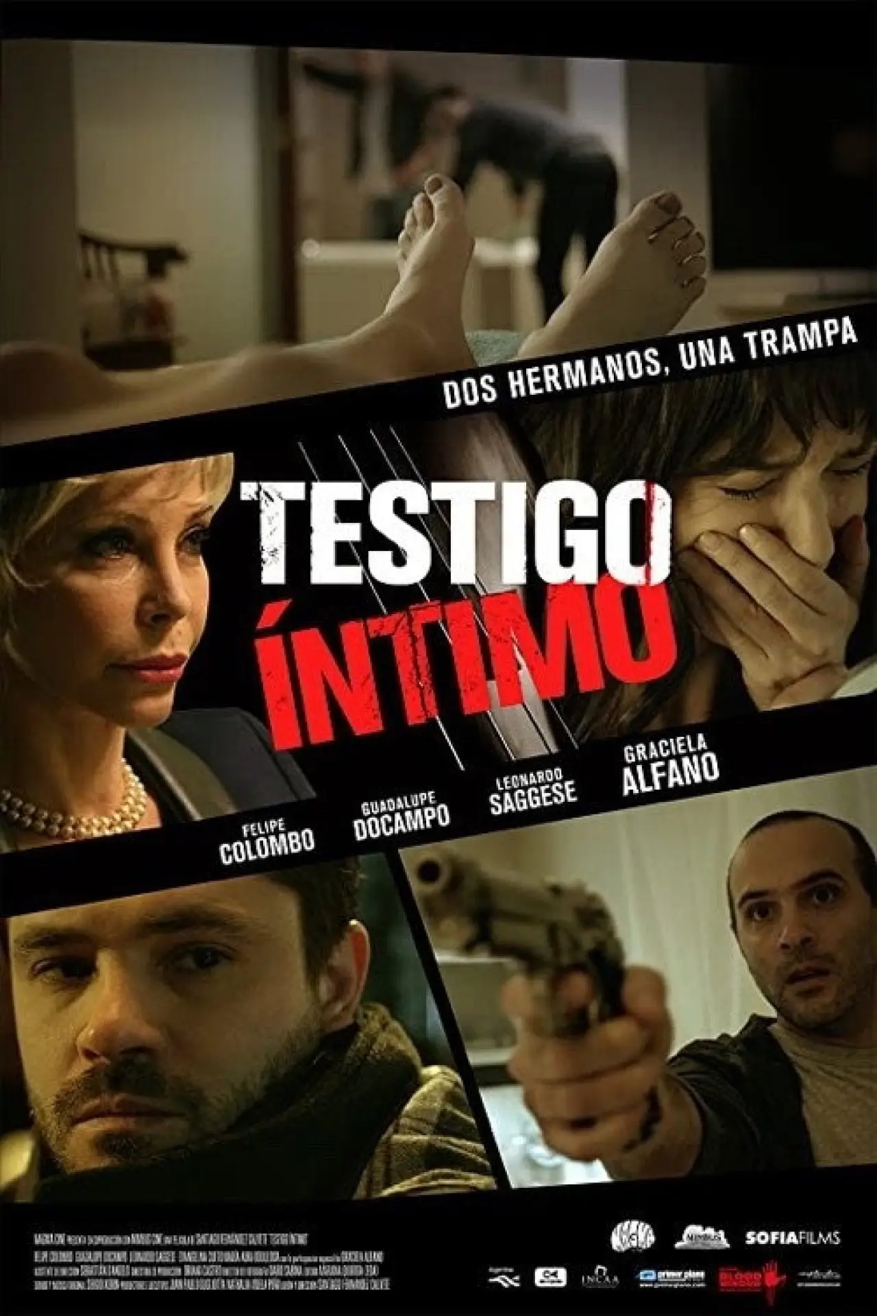 Movie poster "Intimate Witness"