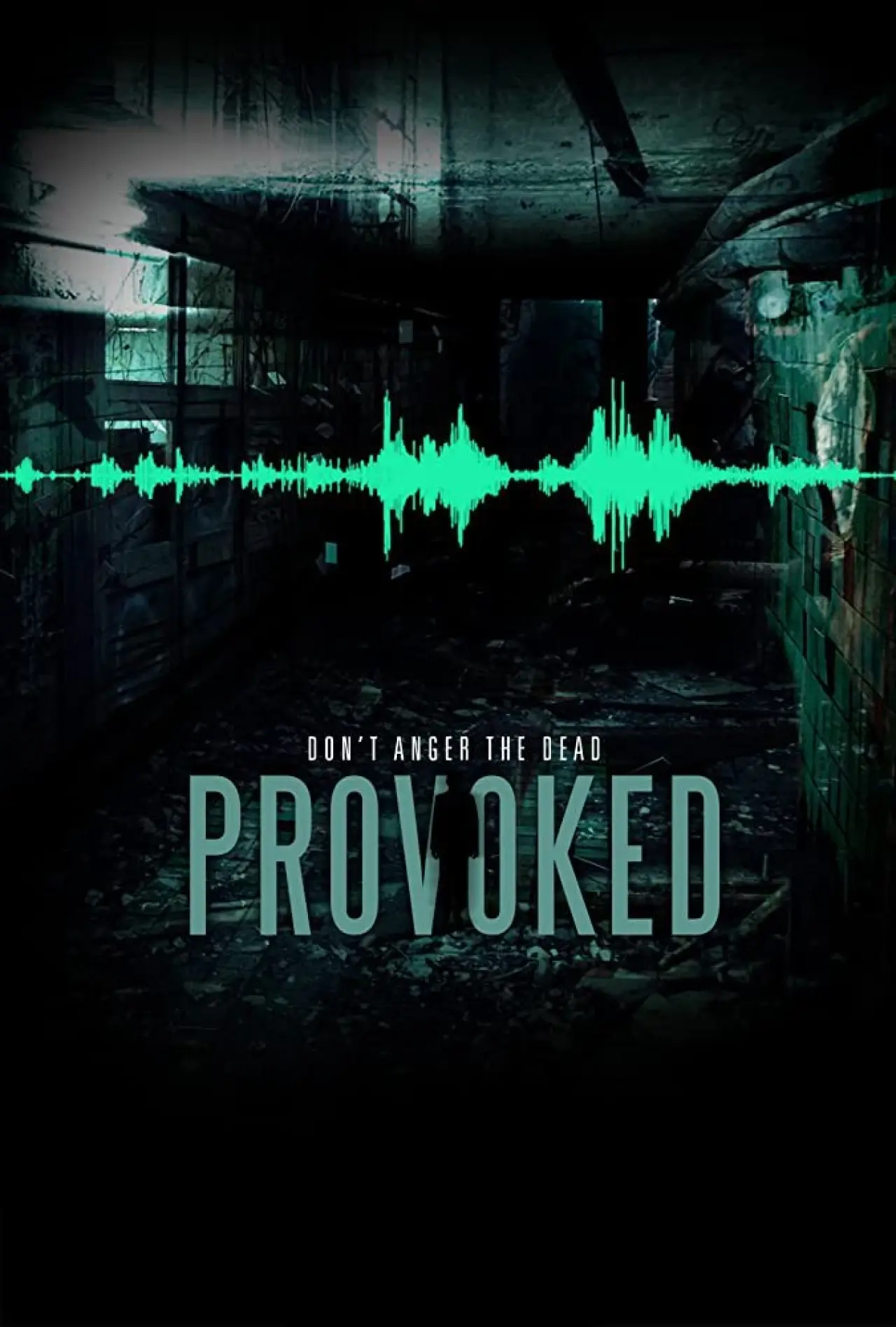 Movie poster "Provoked"