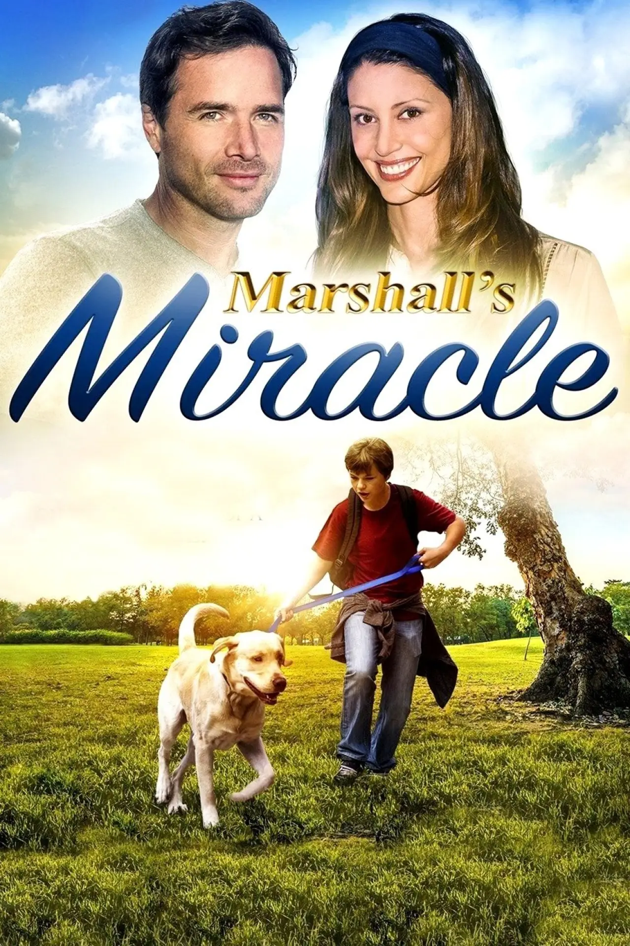 Movie poster "Marshall