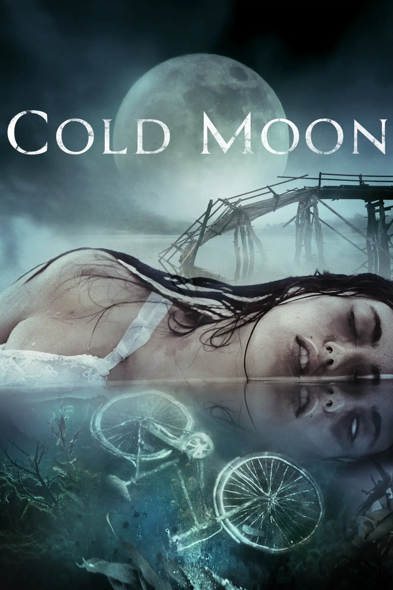 Movie poster "Cold Moon"