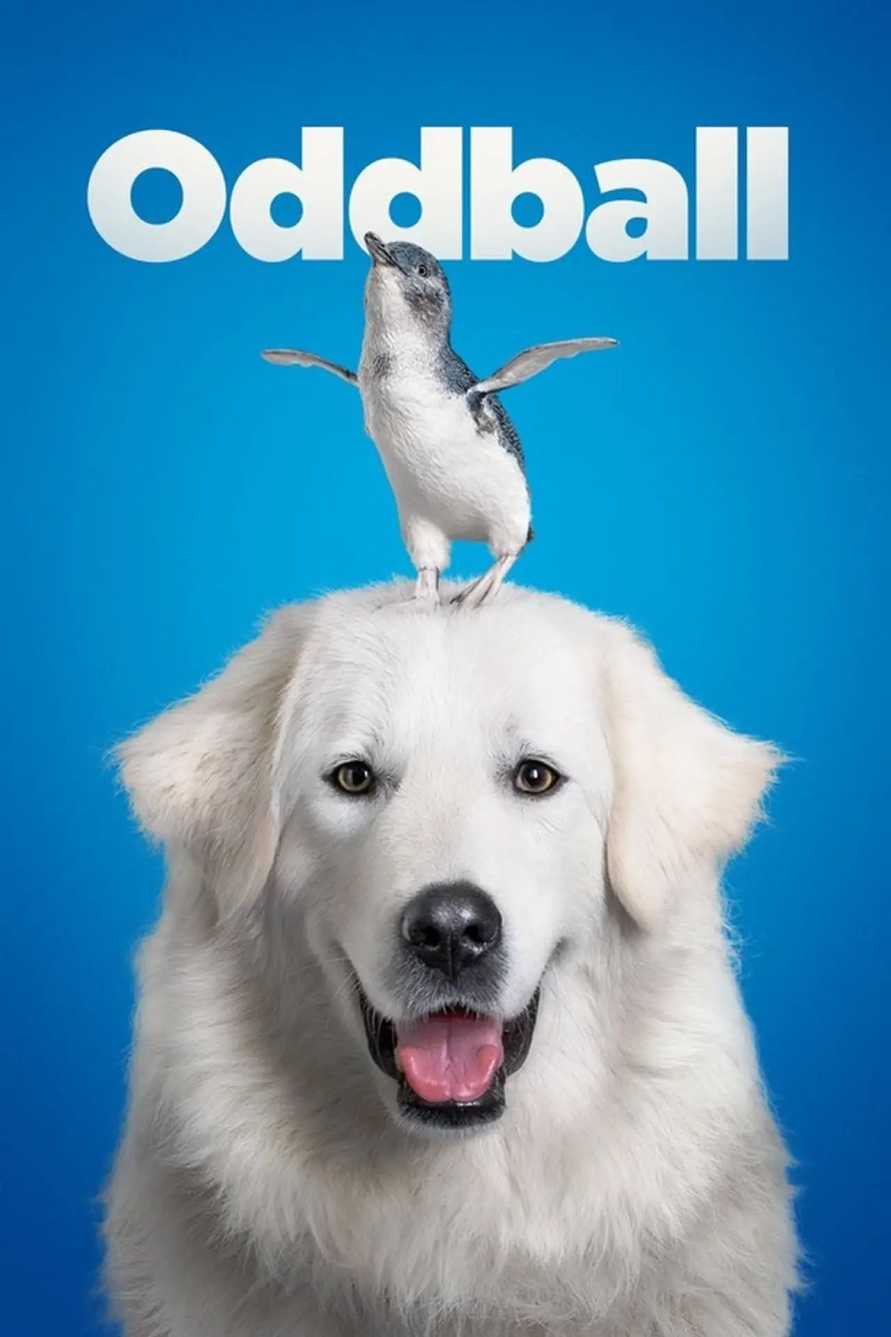 Movie poster "Oddball"