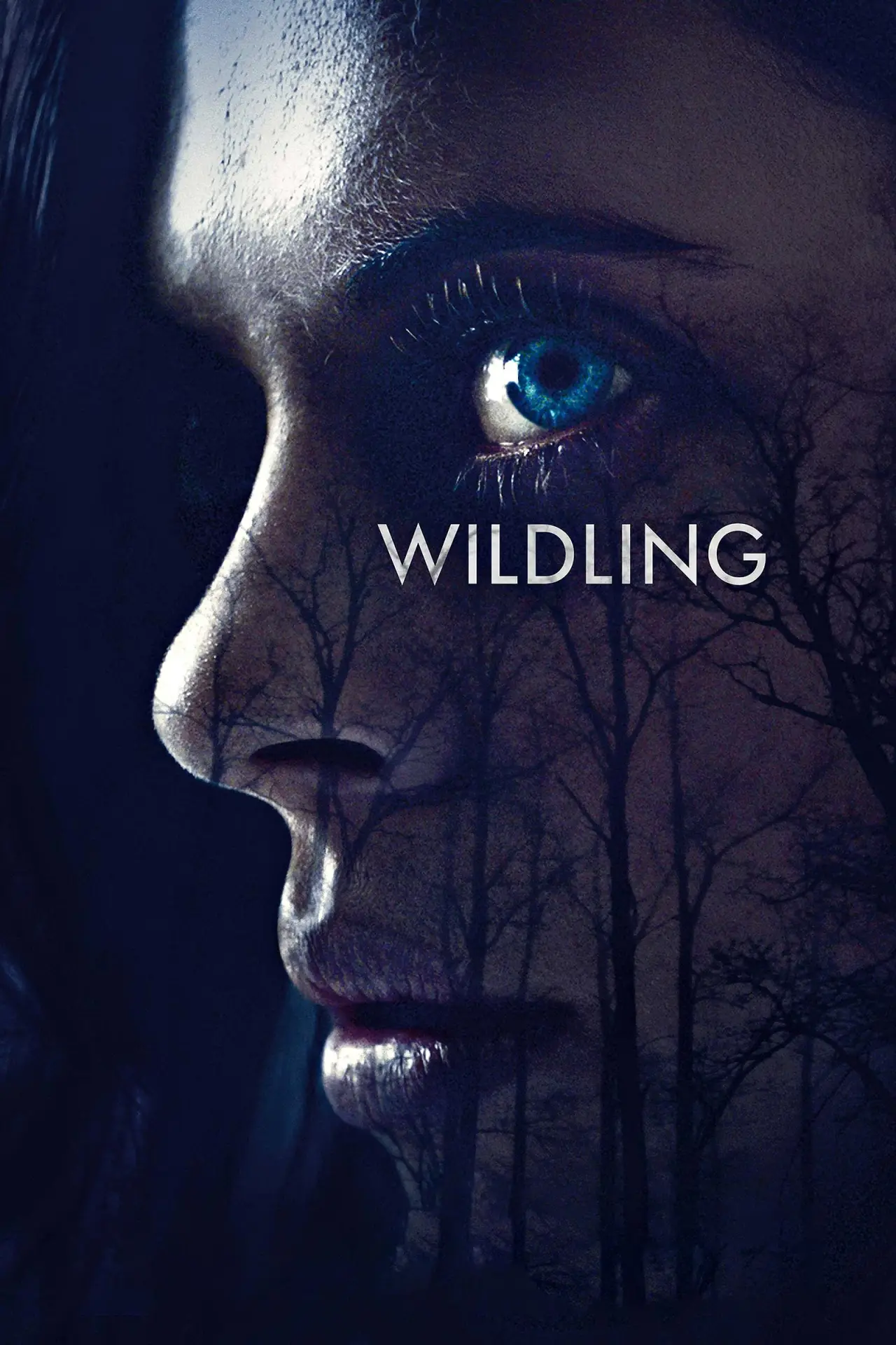 Movie poster "Wildling"