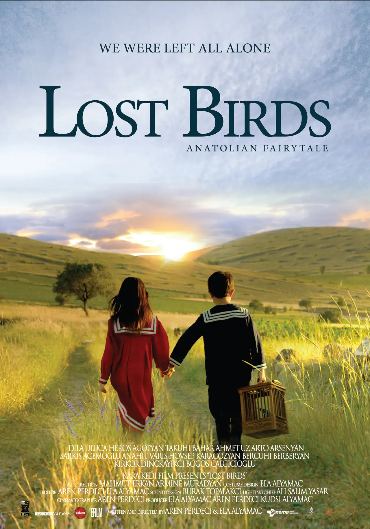 Movie poster "LOST BIRDS"