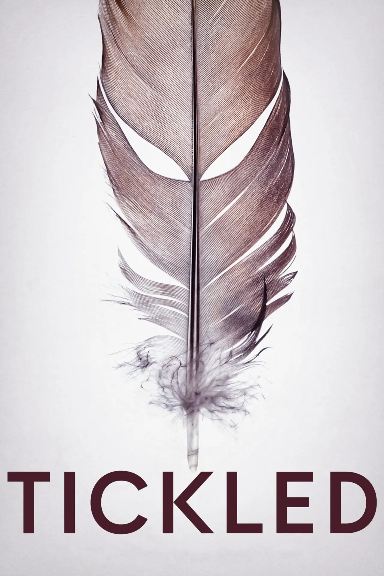 Movie poster "Tickled"
