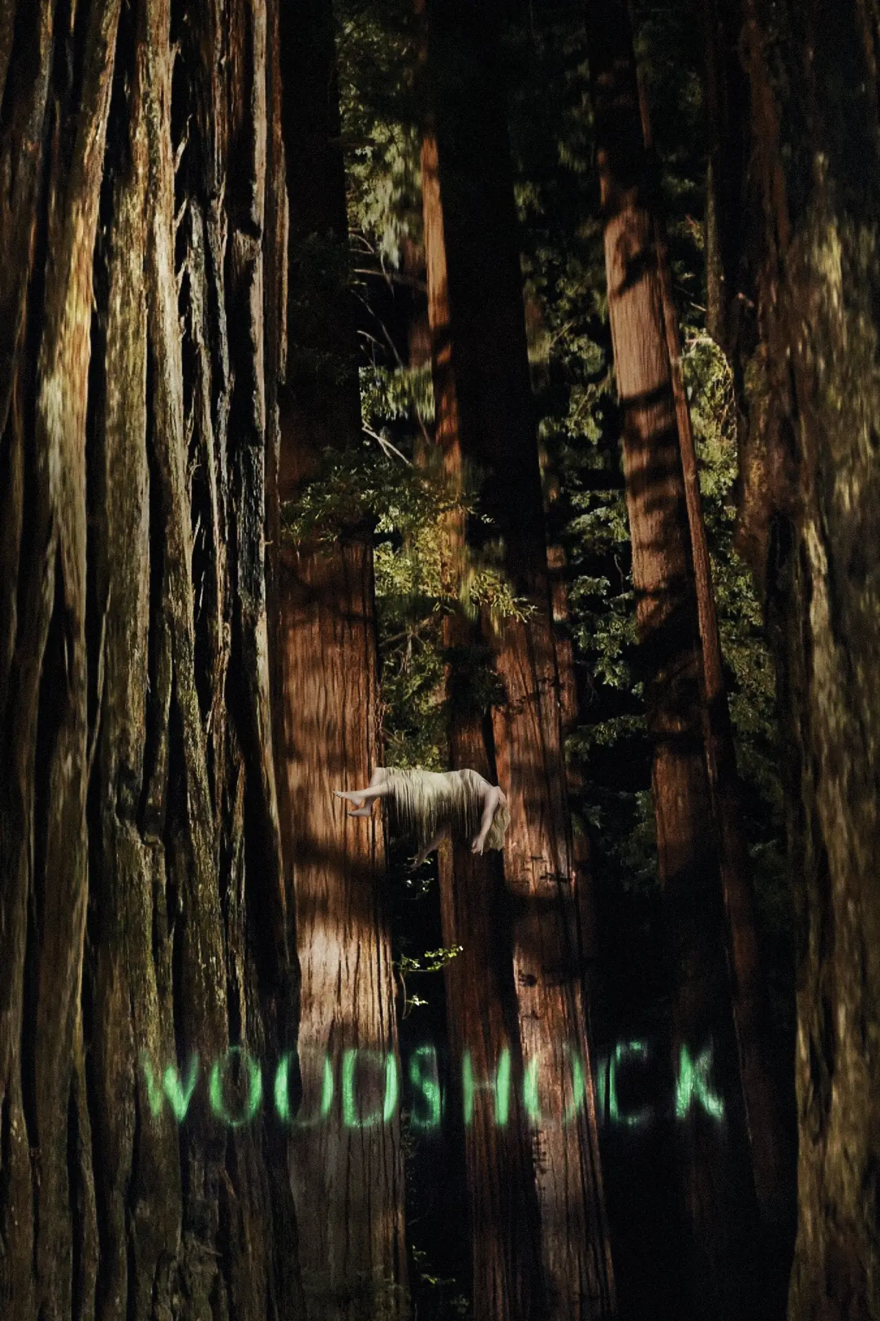 Movie poster "Woodshock"