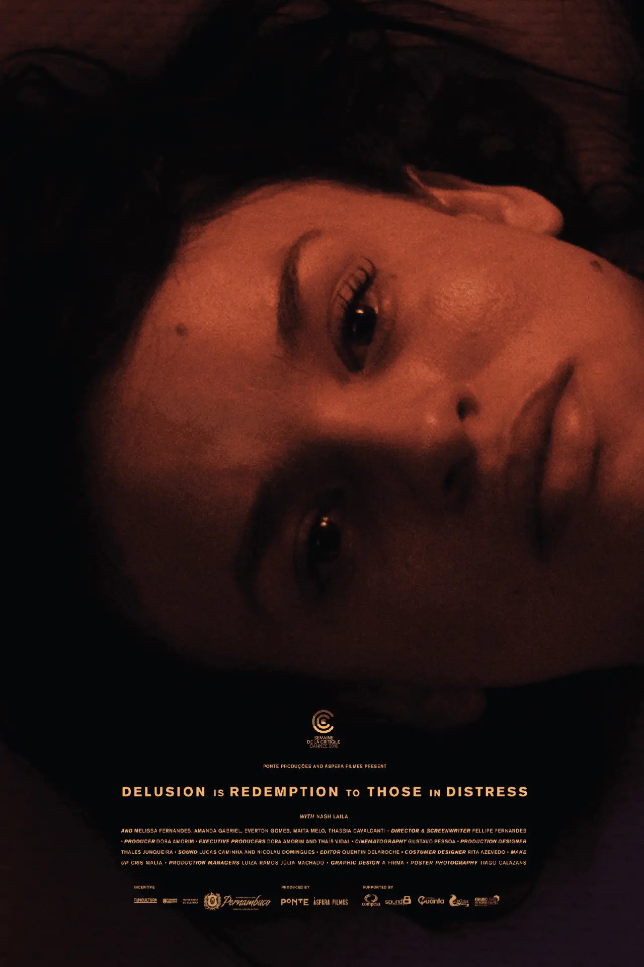 Movie poster "Delusion Is Redemption to Those in Distress"