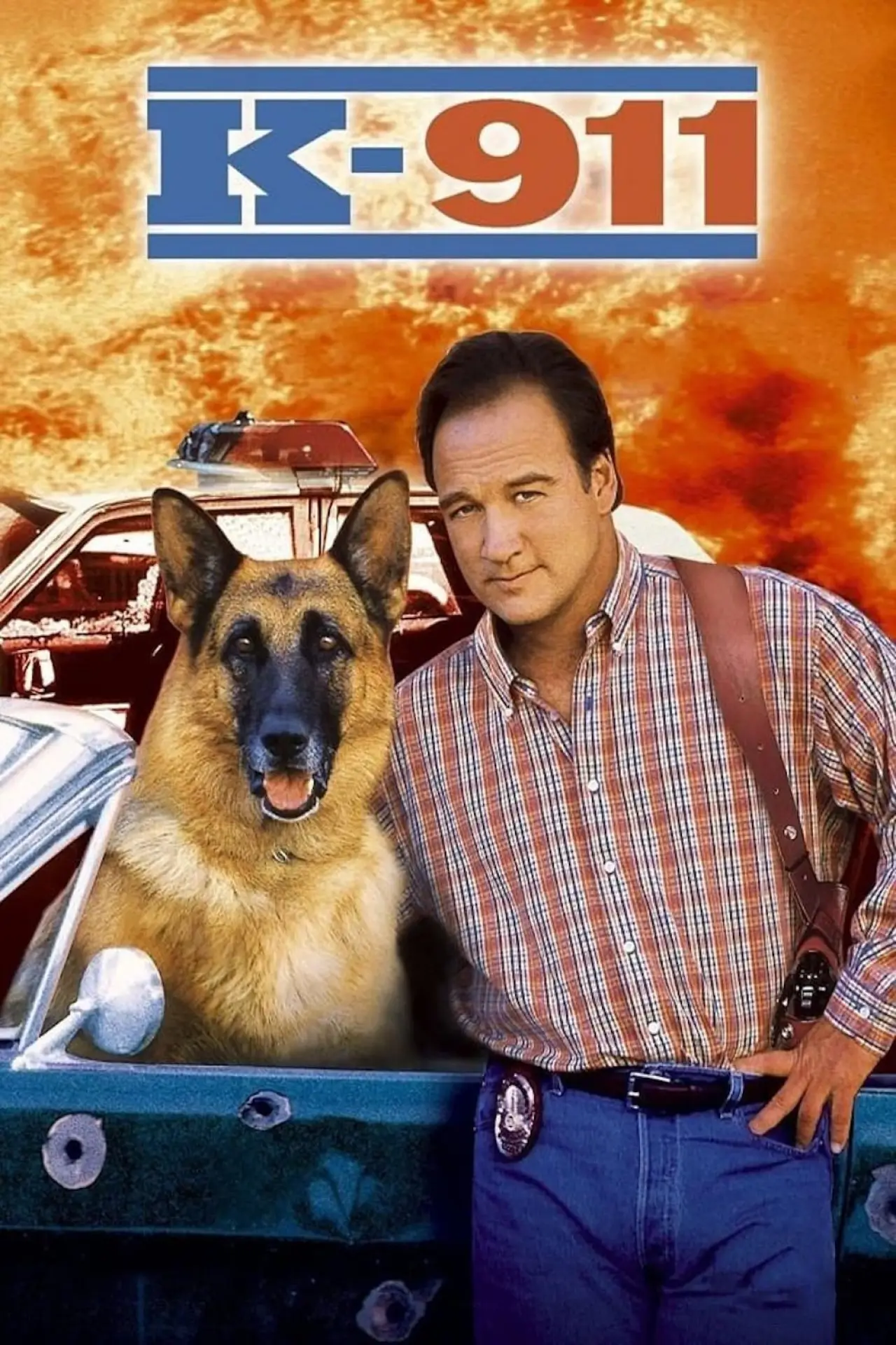 Movie poster "K-911"