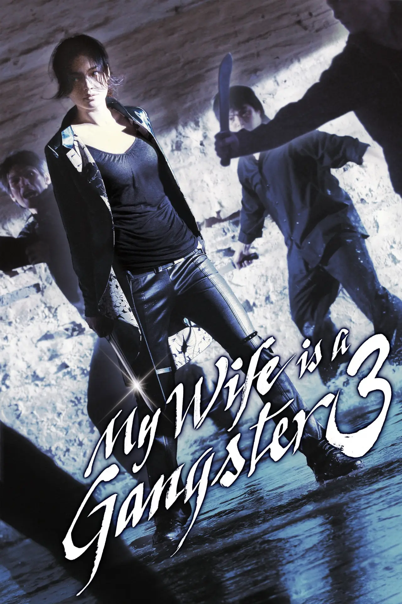Movie poster "My Wife Is a Gangster 3"