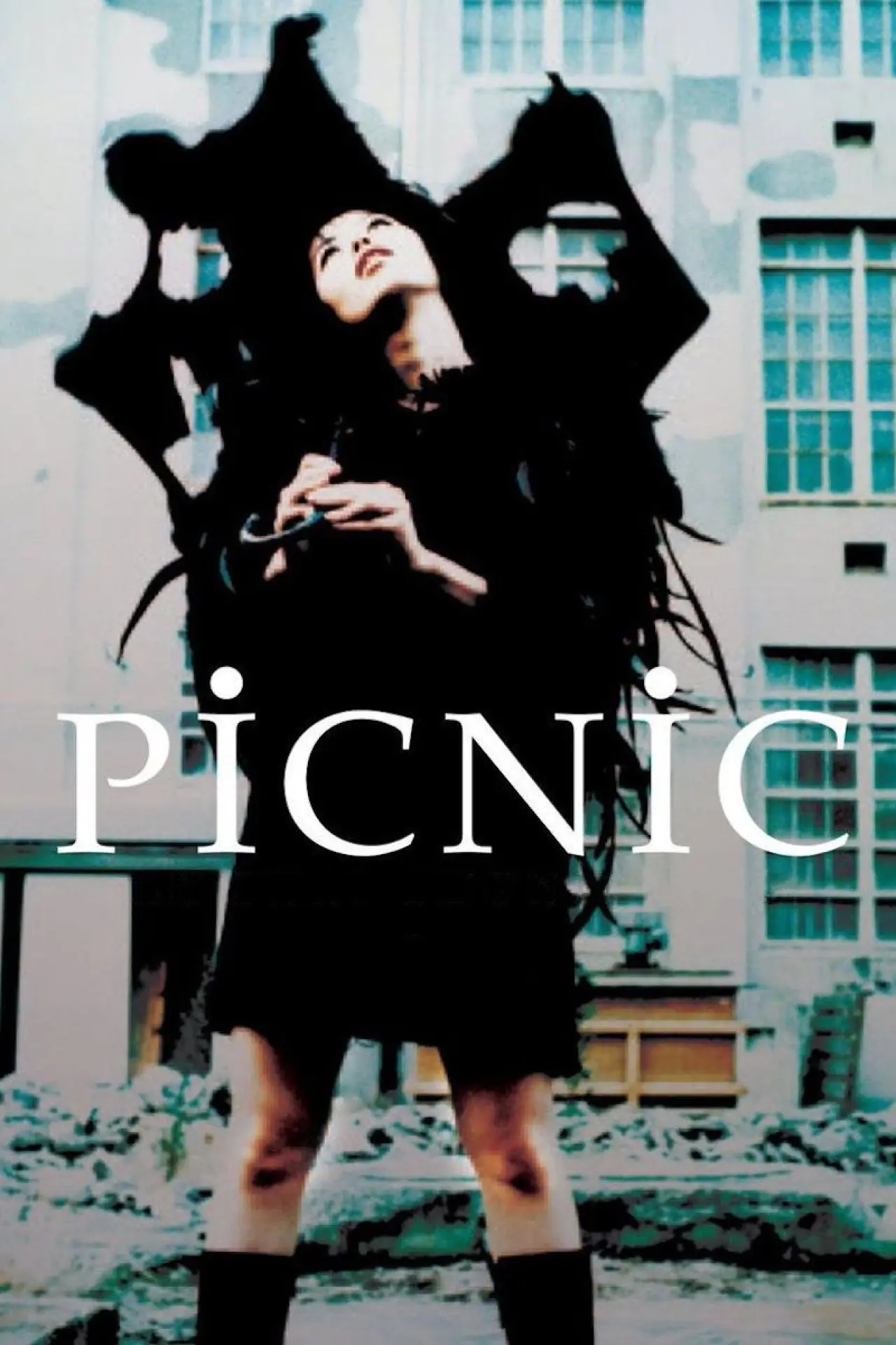Movie poster "Picnic"