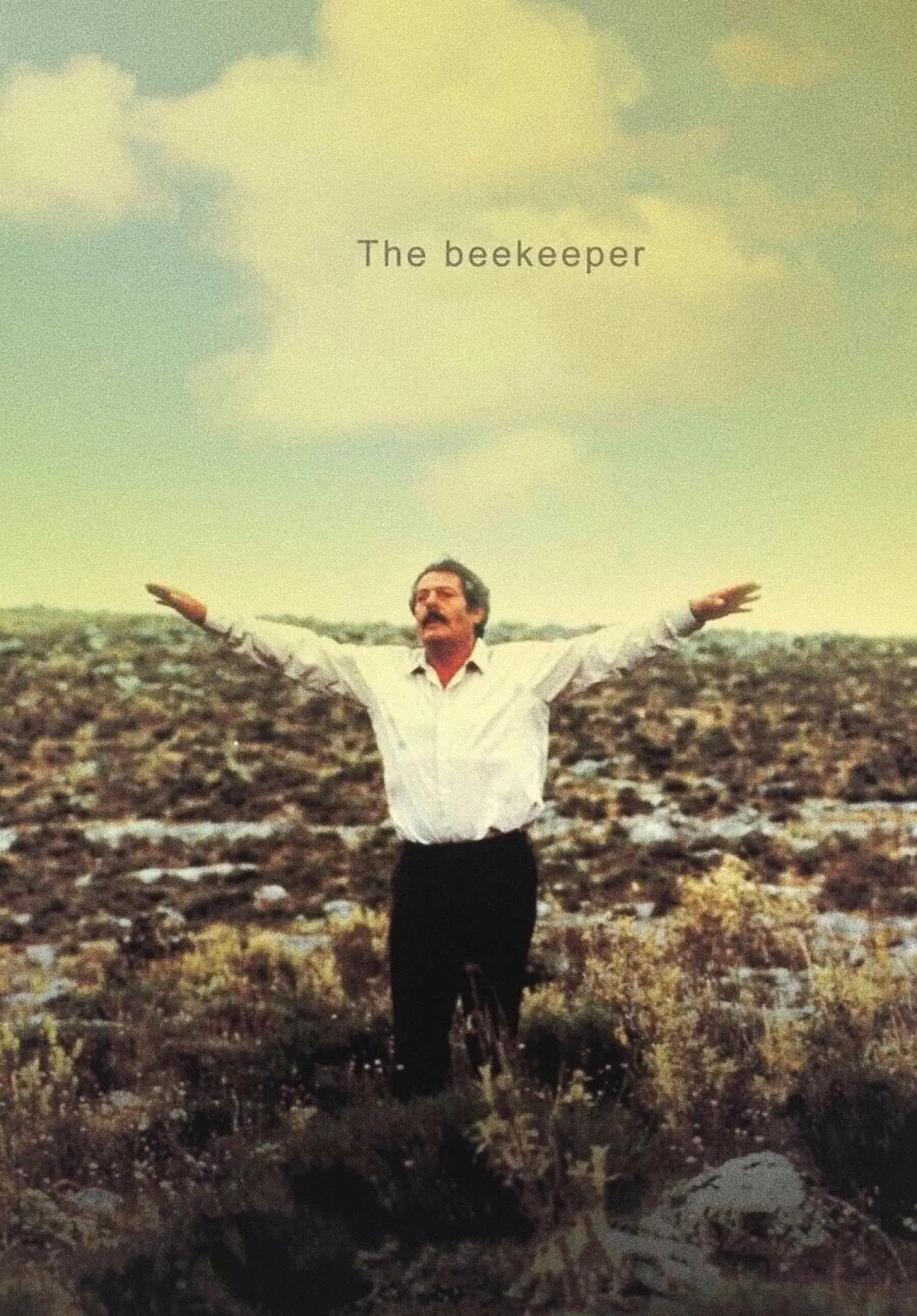 Movie poster "The Beekeeper"