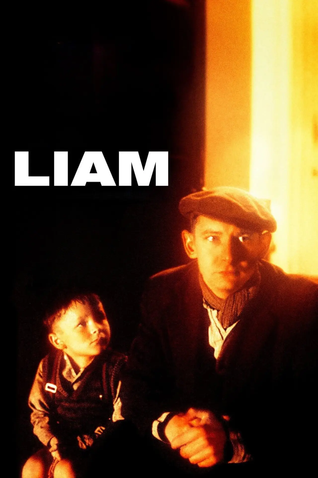 Movie poster "Liam"