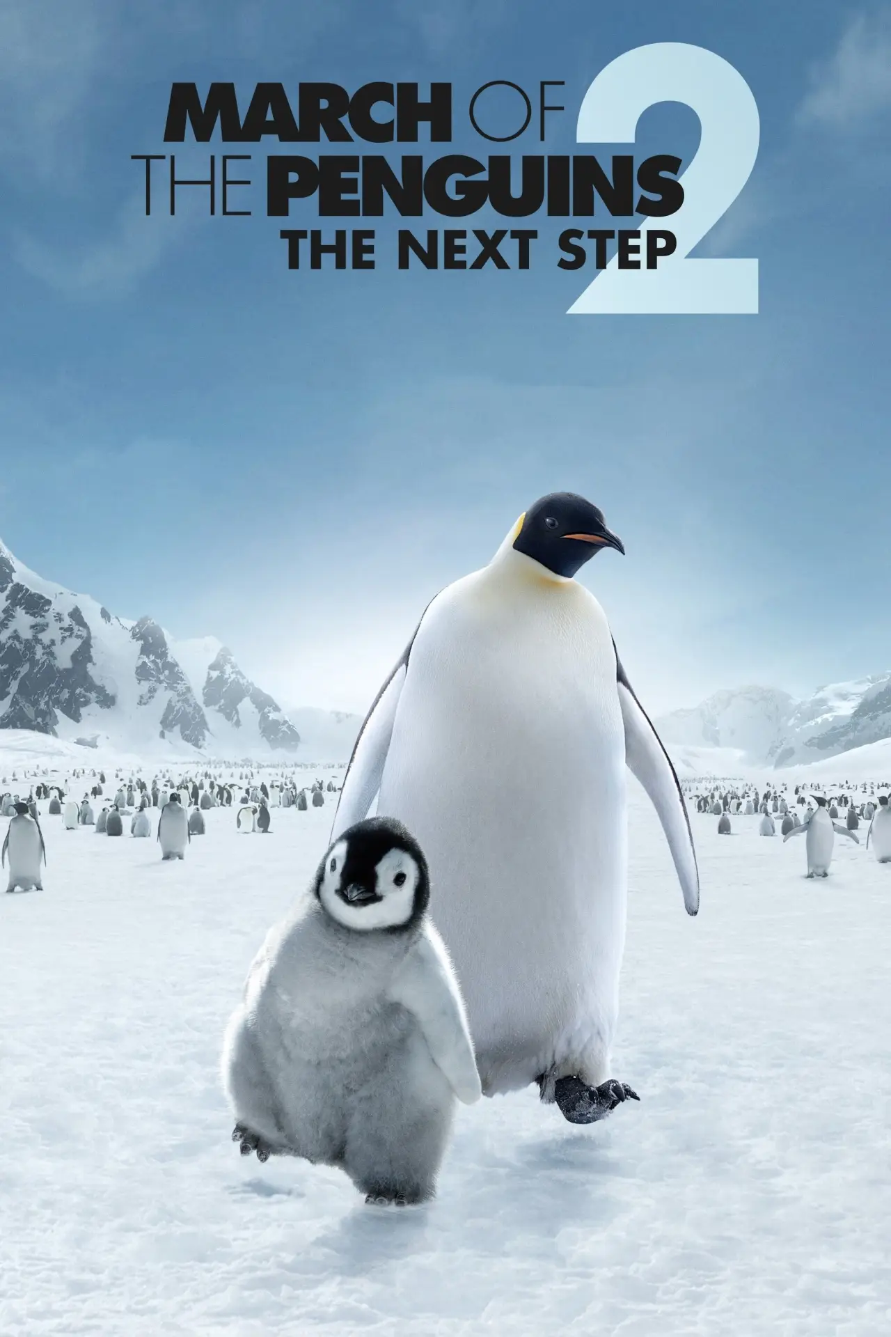 Movie poster "March of the Penguins 2: The Next Step"