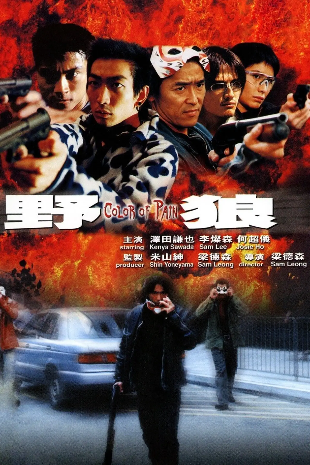 Movie poster "Color of Pain"