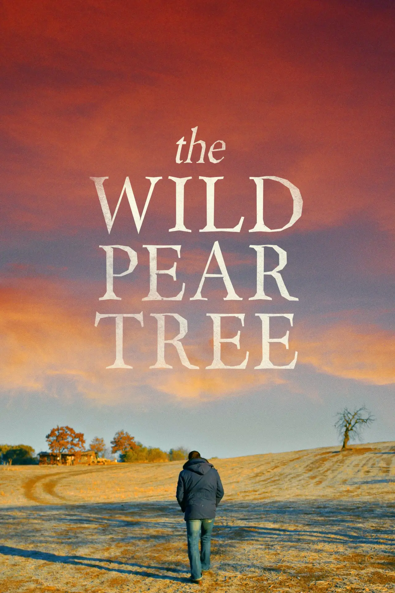 Movie poster "The Wild Pear Tree"