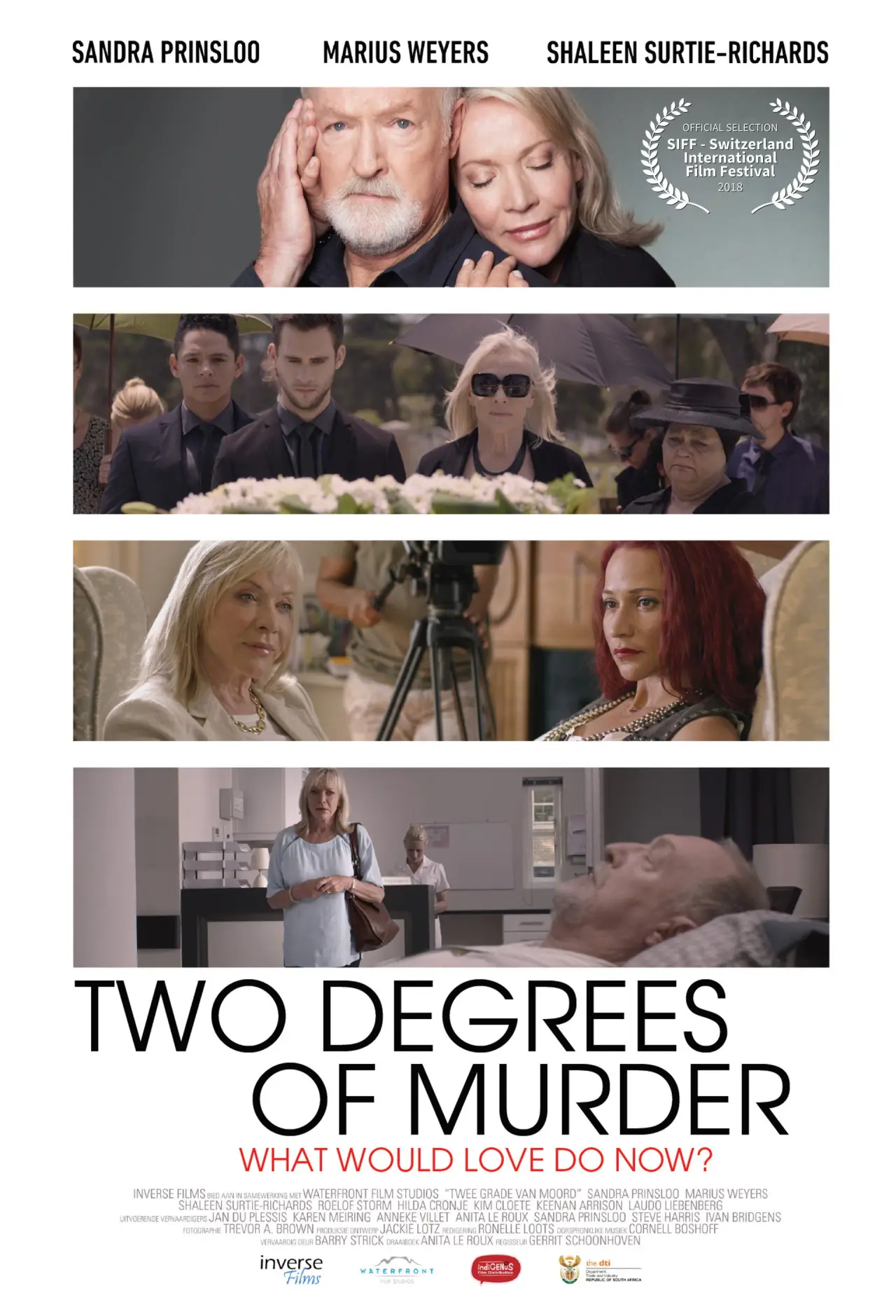 Movie poster "Two Degrees of Murder"