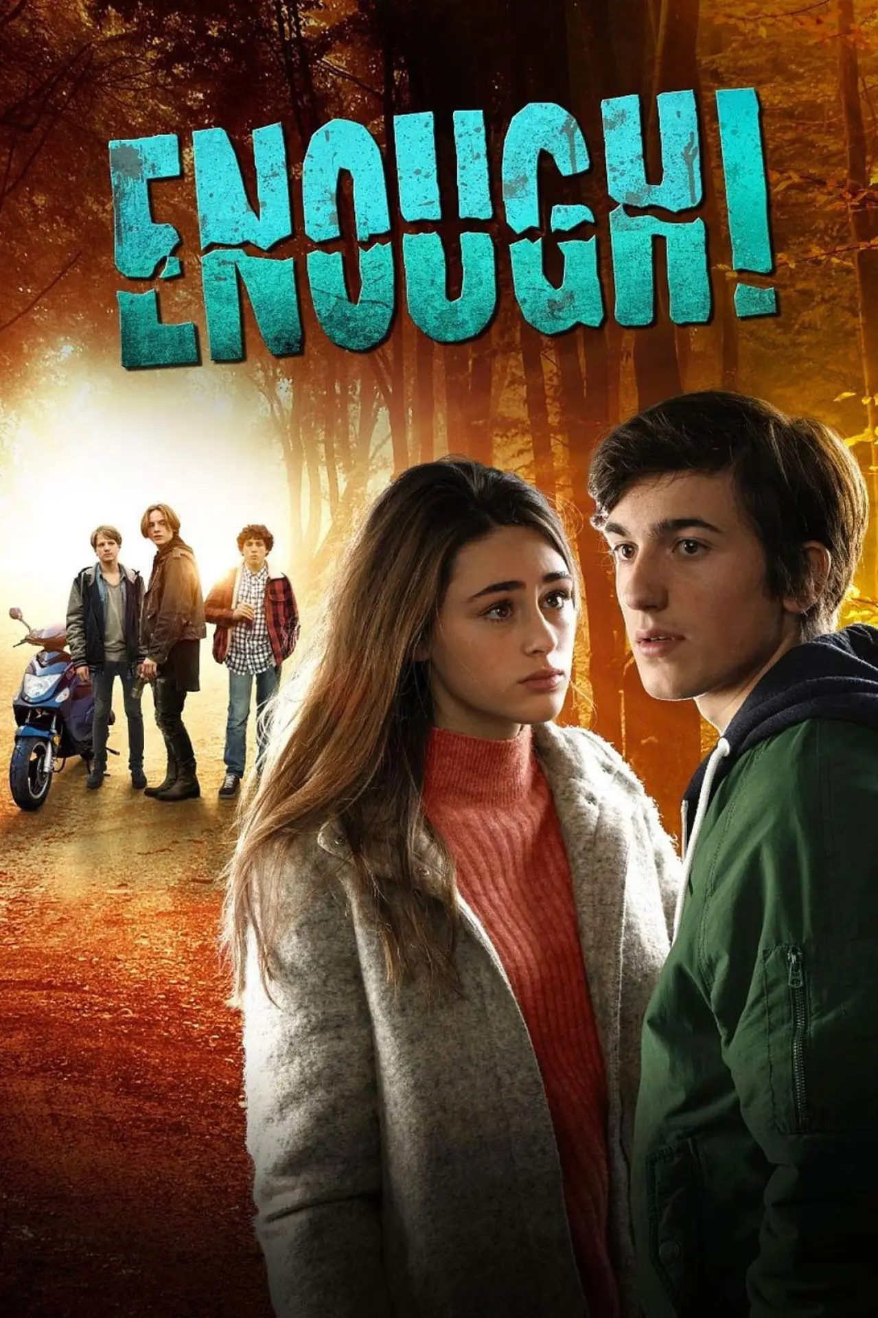 Movie poster "Enough!"