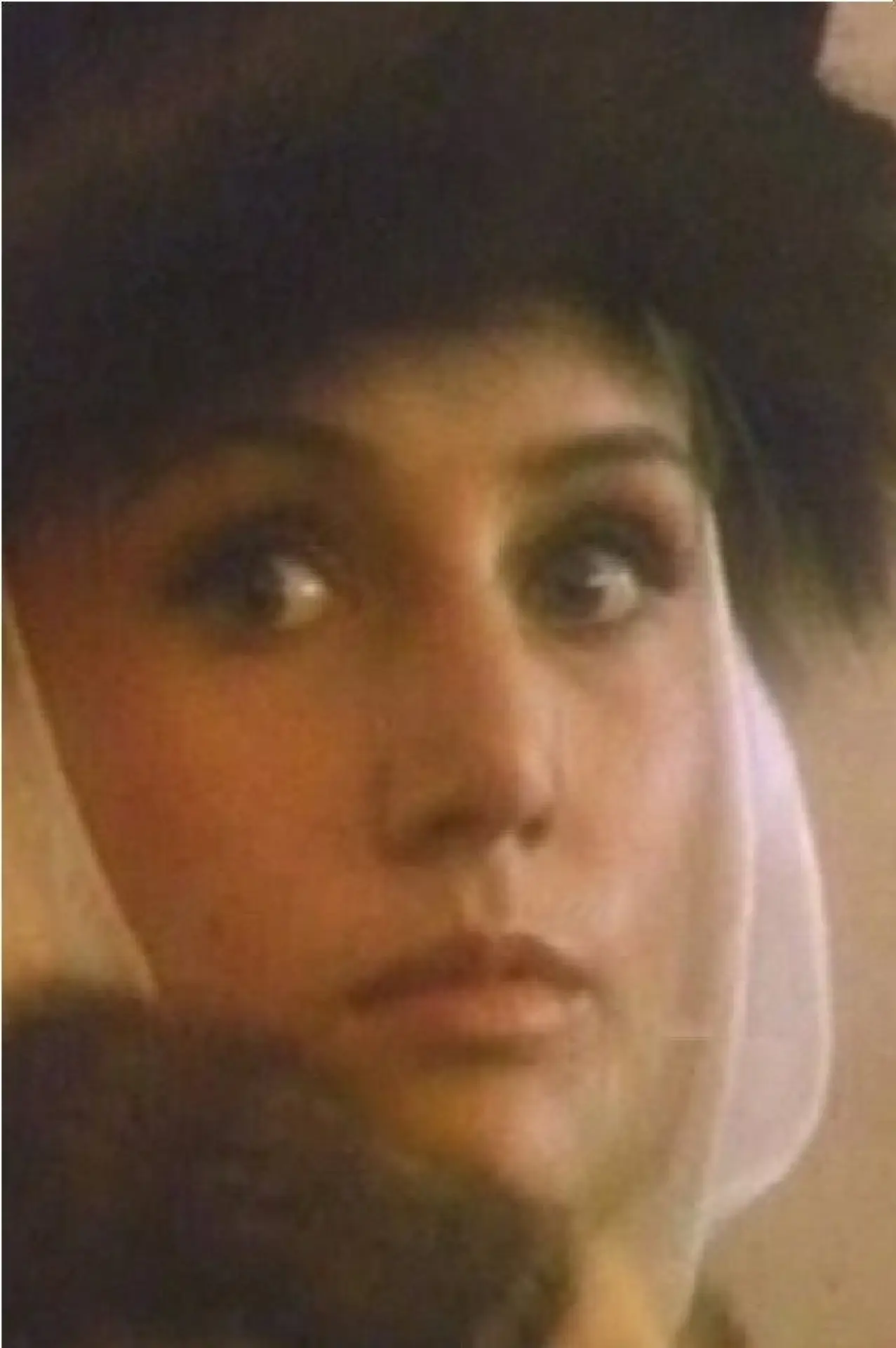 Movie poster "The Heiress of Werewolves"