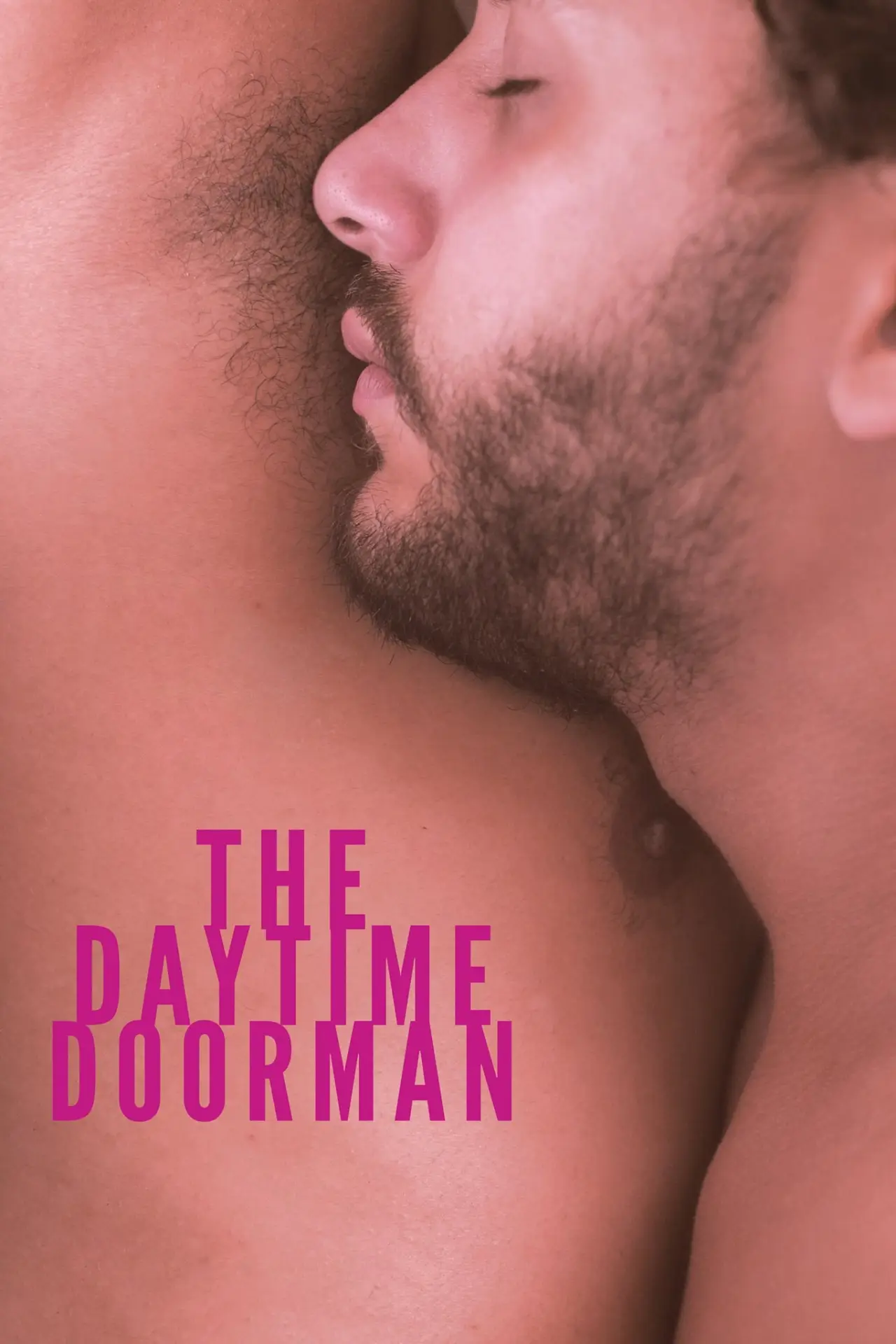 Movie poster "The Daytime Doorman"