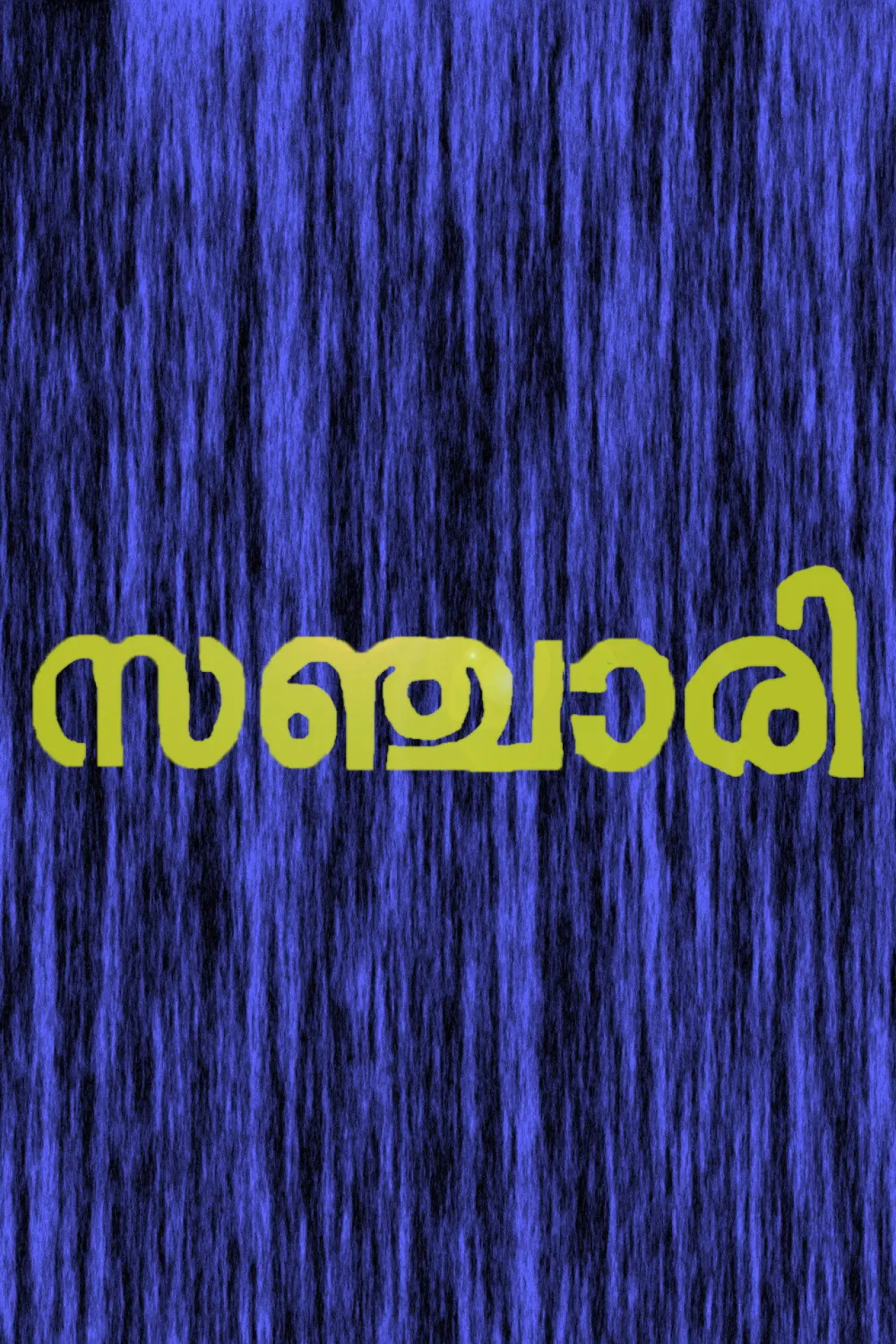 Movie poster "Sanchari"
