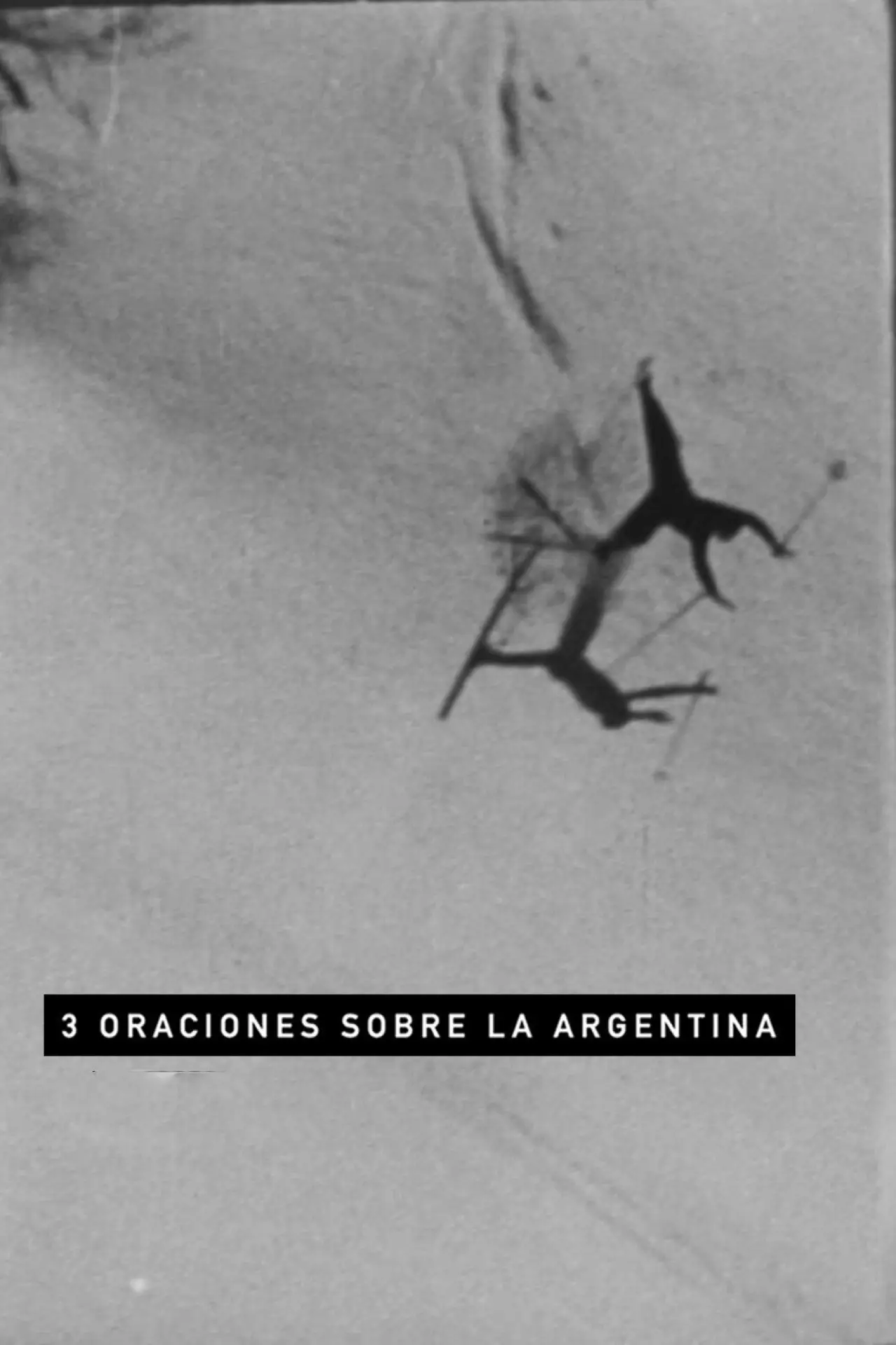 Movie poster "Three Sentences About Argentina"