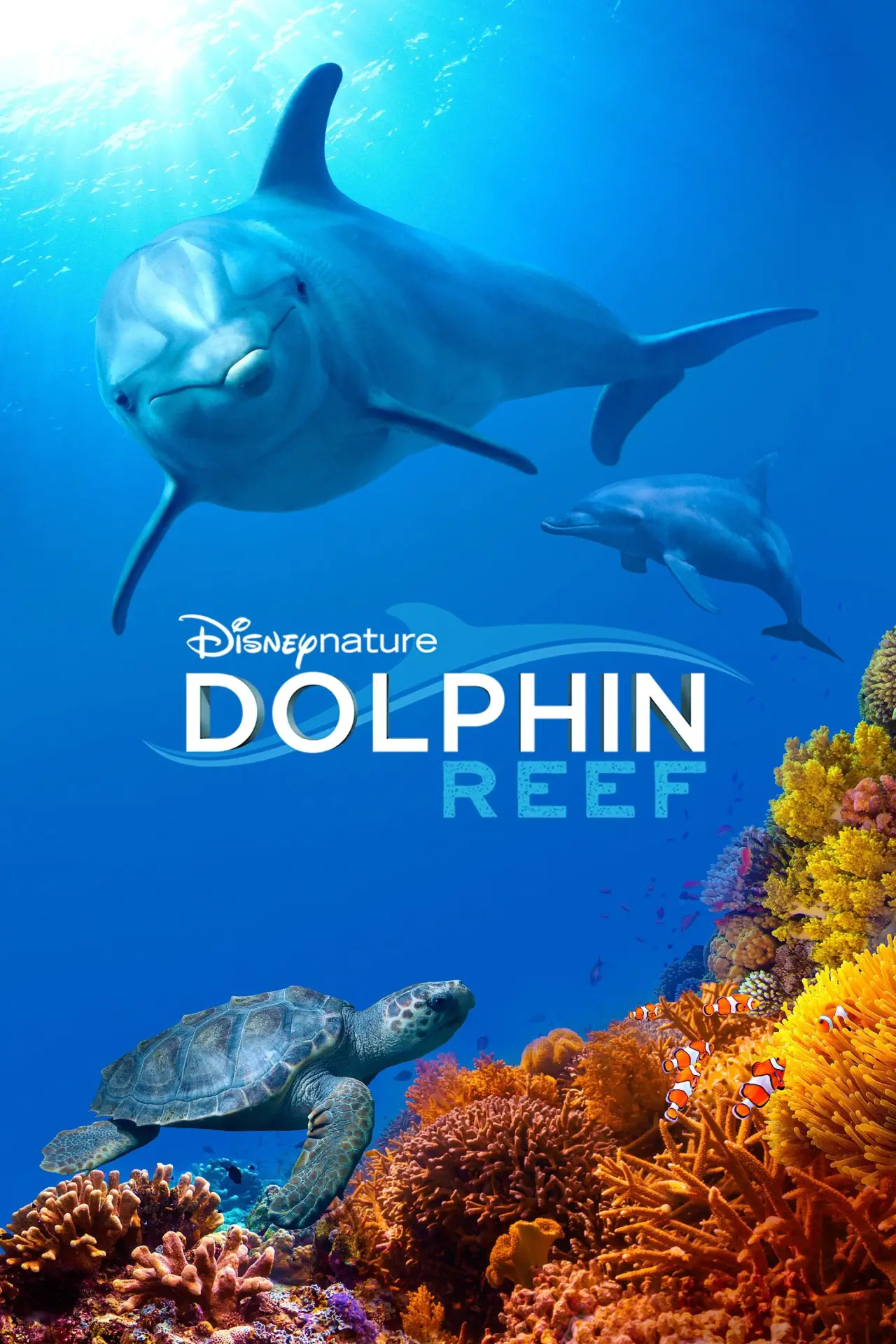 Movie poster "Dolphin Reef"