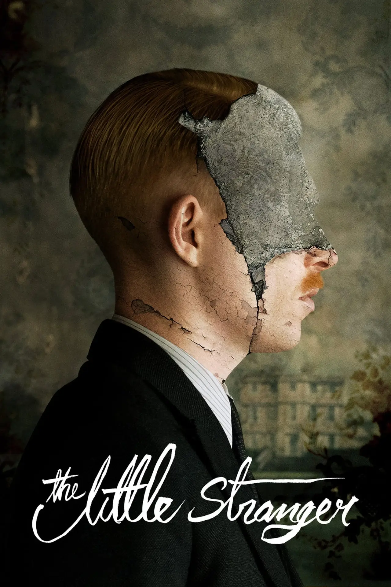 Movie poster "The Little Stranger"
