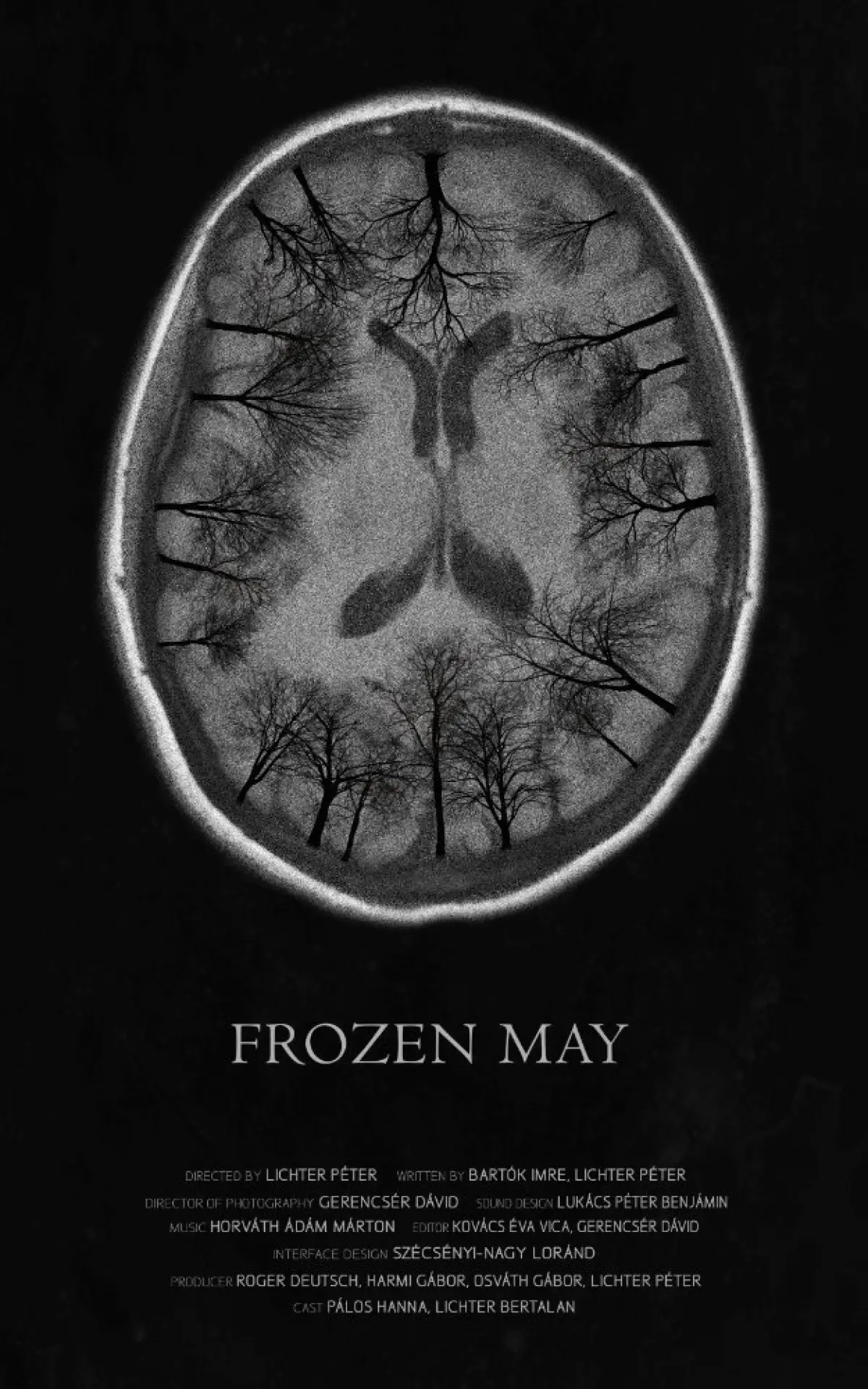 Movie poster "Frozen May"