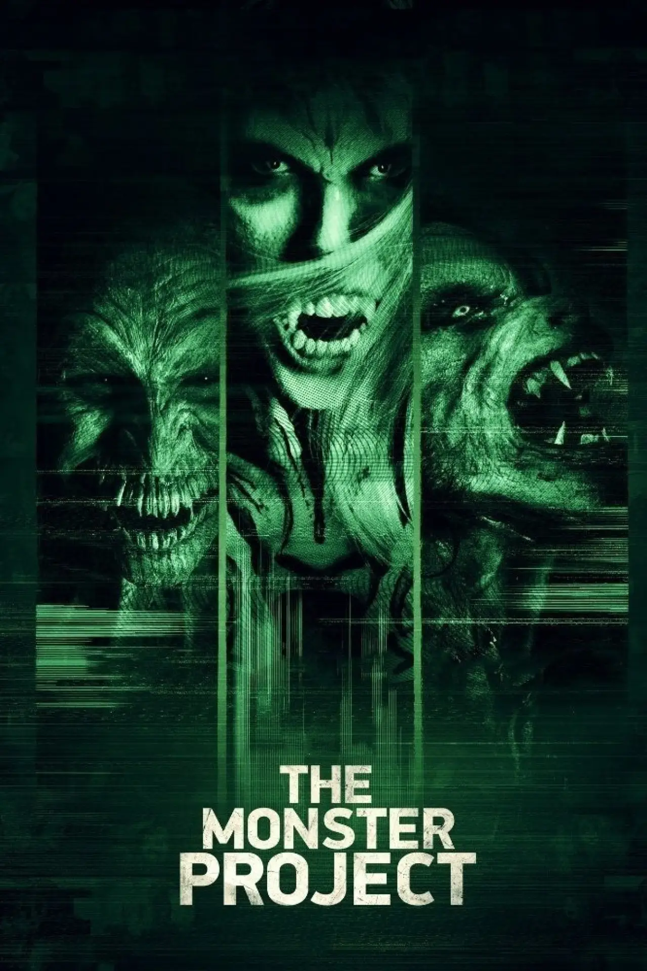 Movie poster "The Monster Project"