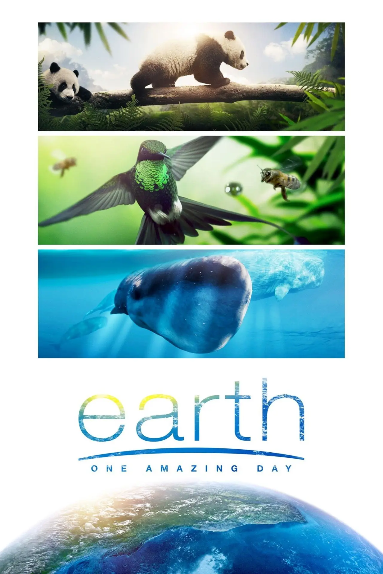 Movie poster "Earth: One Amazing Day"