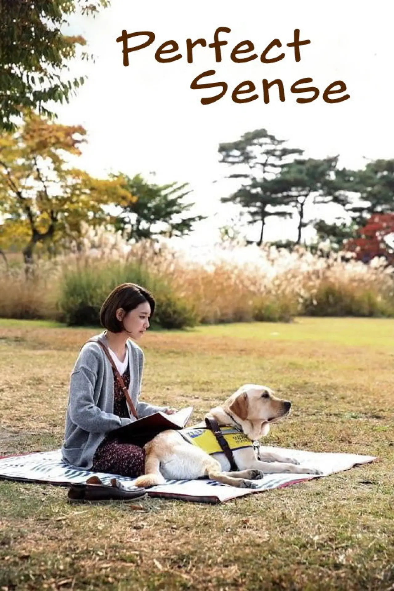 Movie poster "Perfect Sense"
