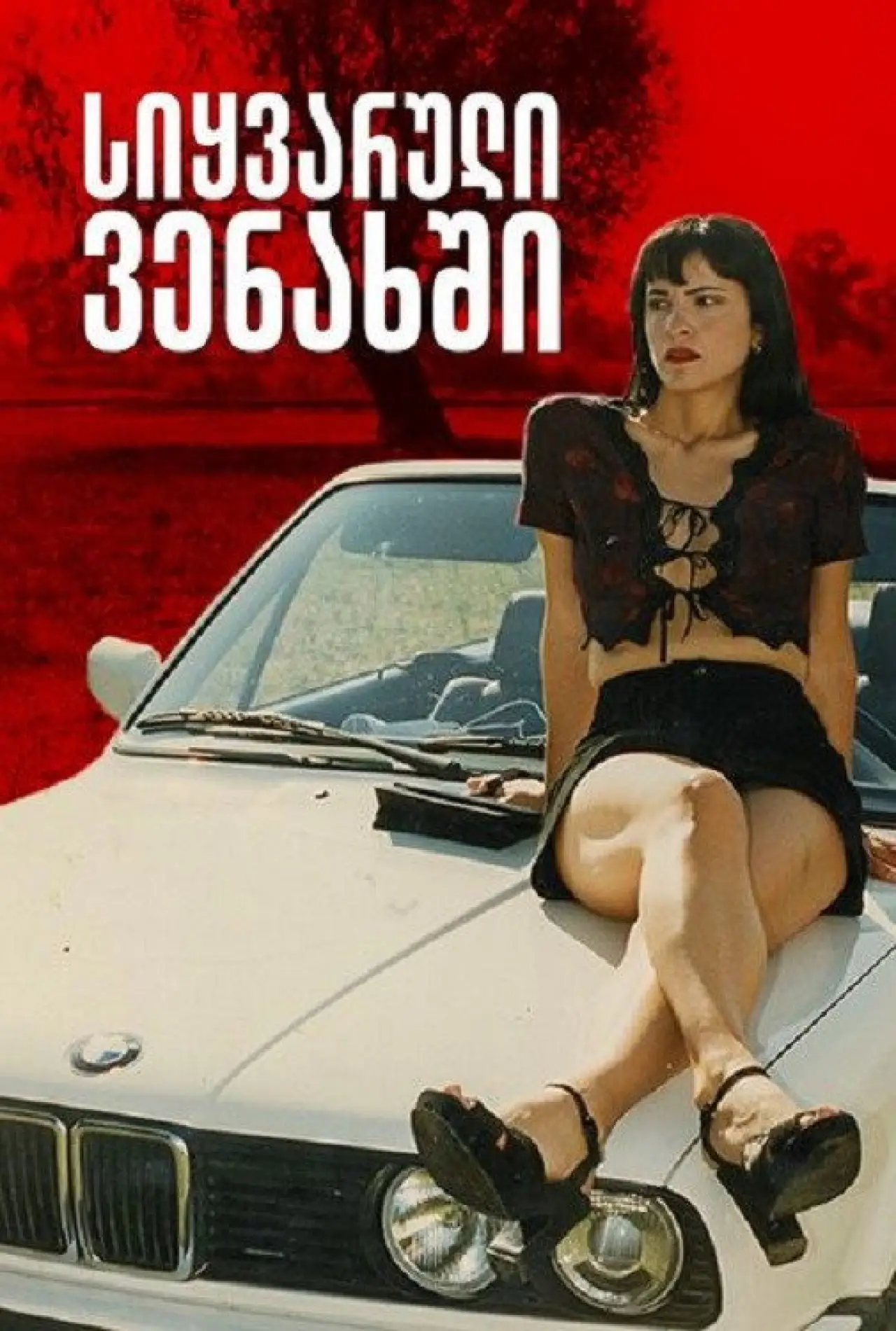 Movie poster "Georgian Grapes"