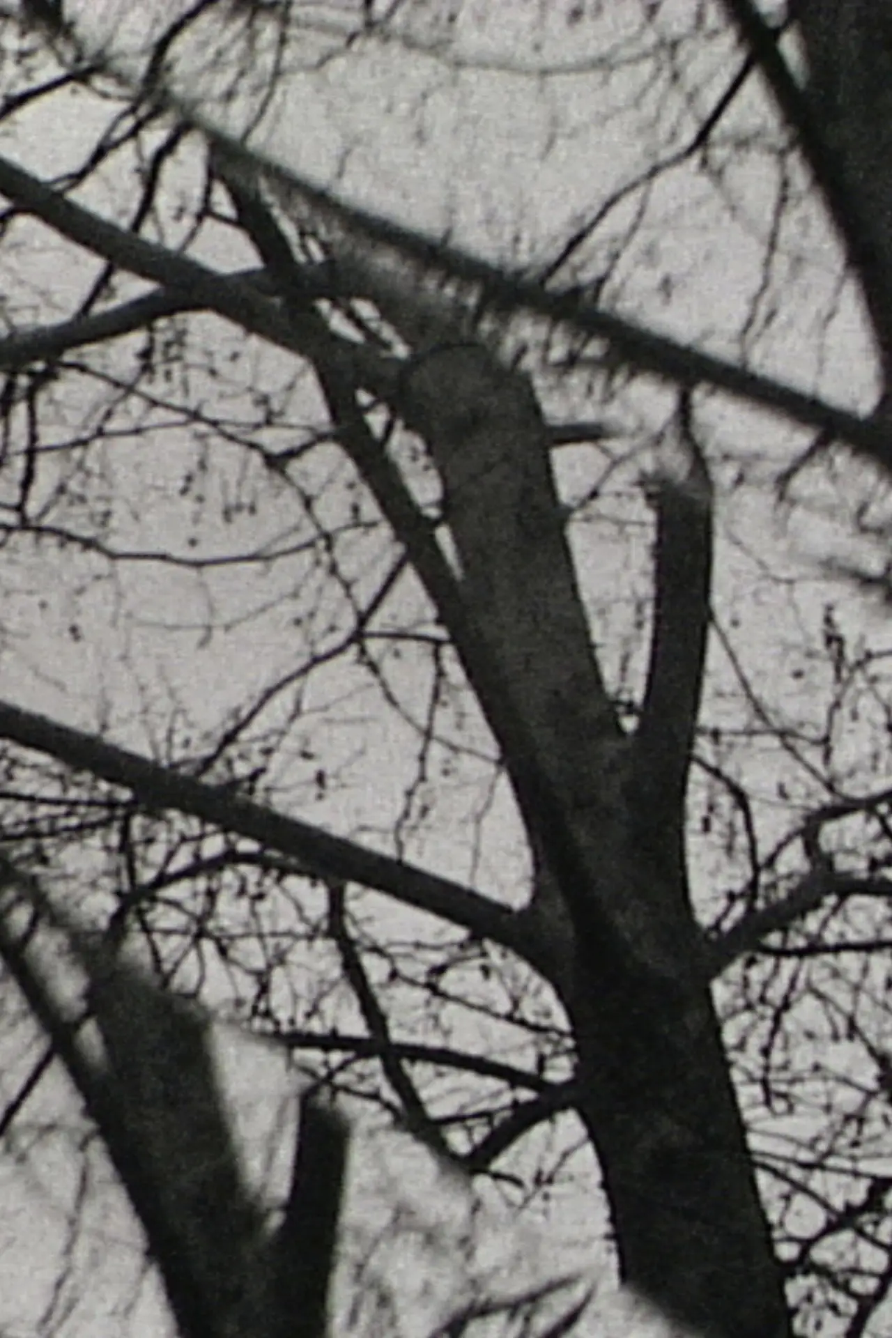 Movie poster "Triple Exposure"