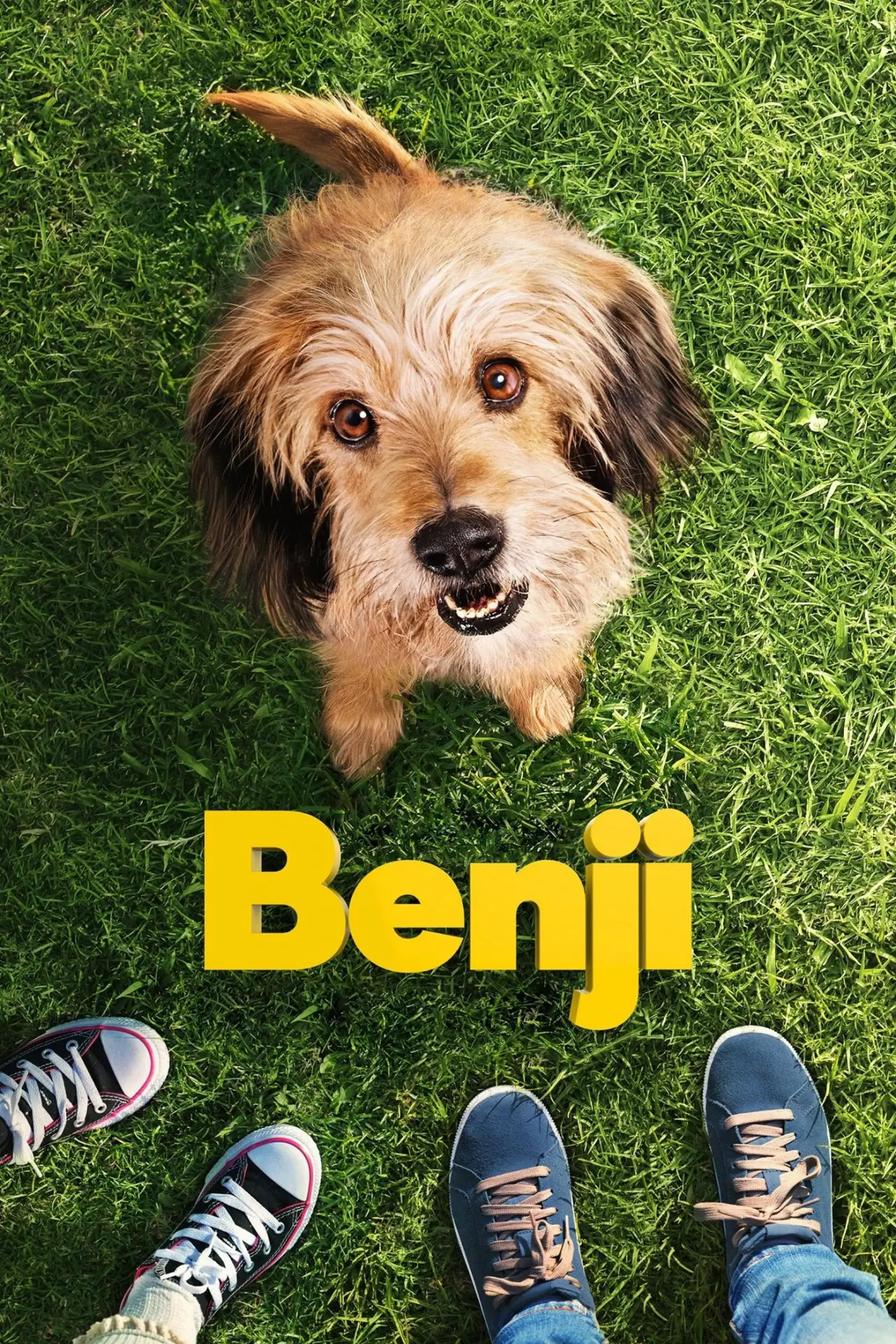 Movie poster "Benji"