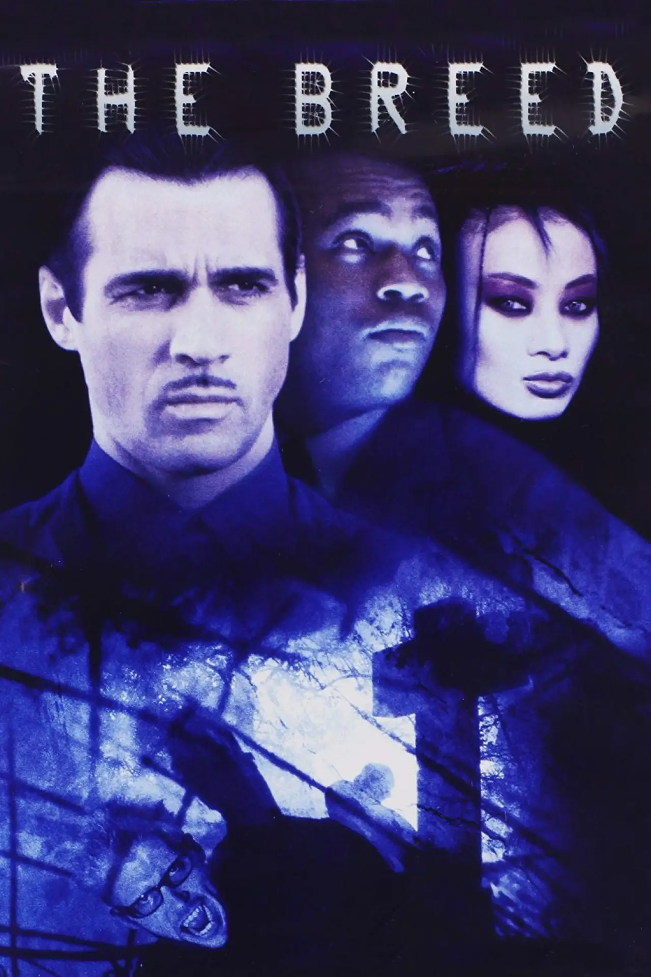 Movie poster "The Breed"