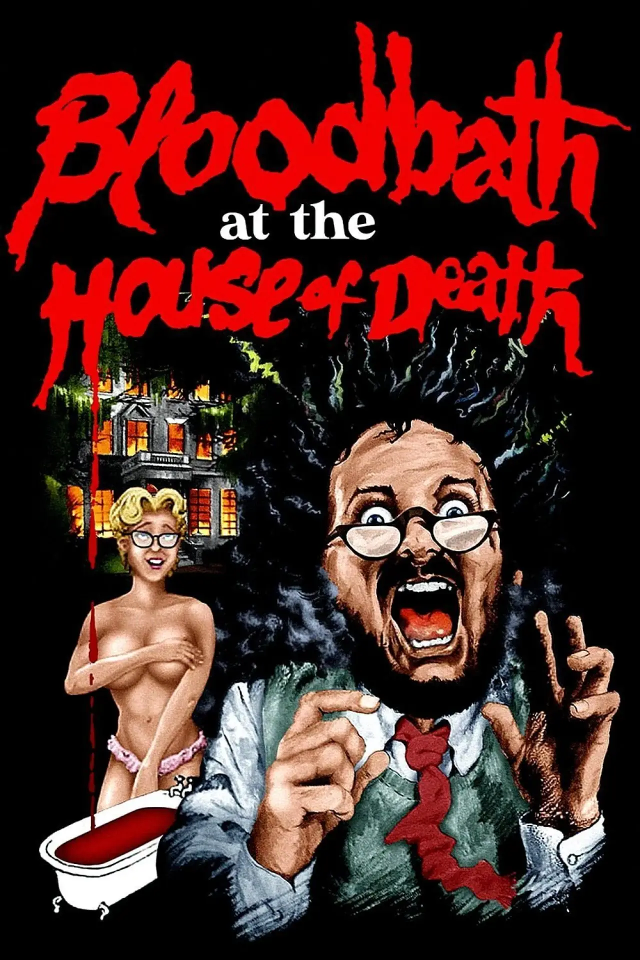 Movie poster "Bloodbath at the House of Death"