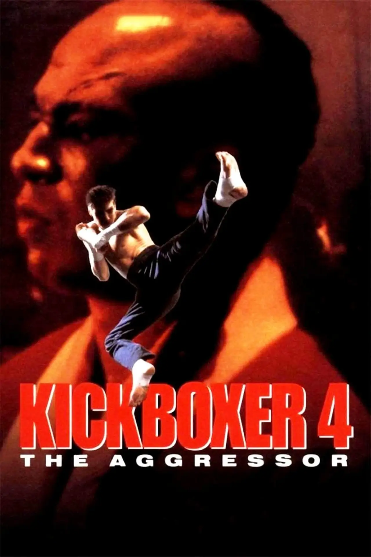 Movie poster "Kickboxer 4: The Aggressor"
